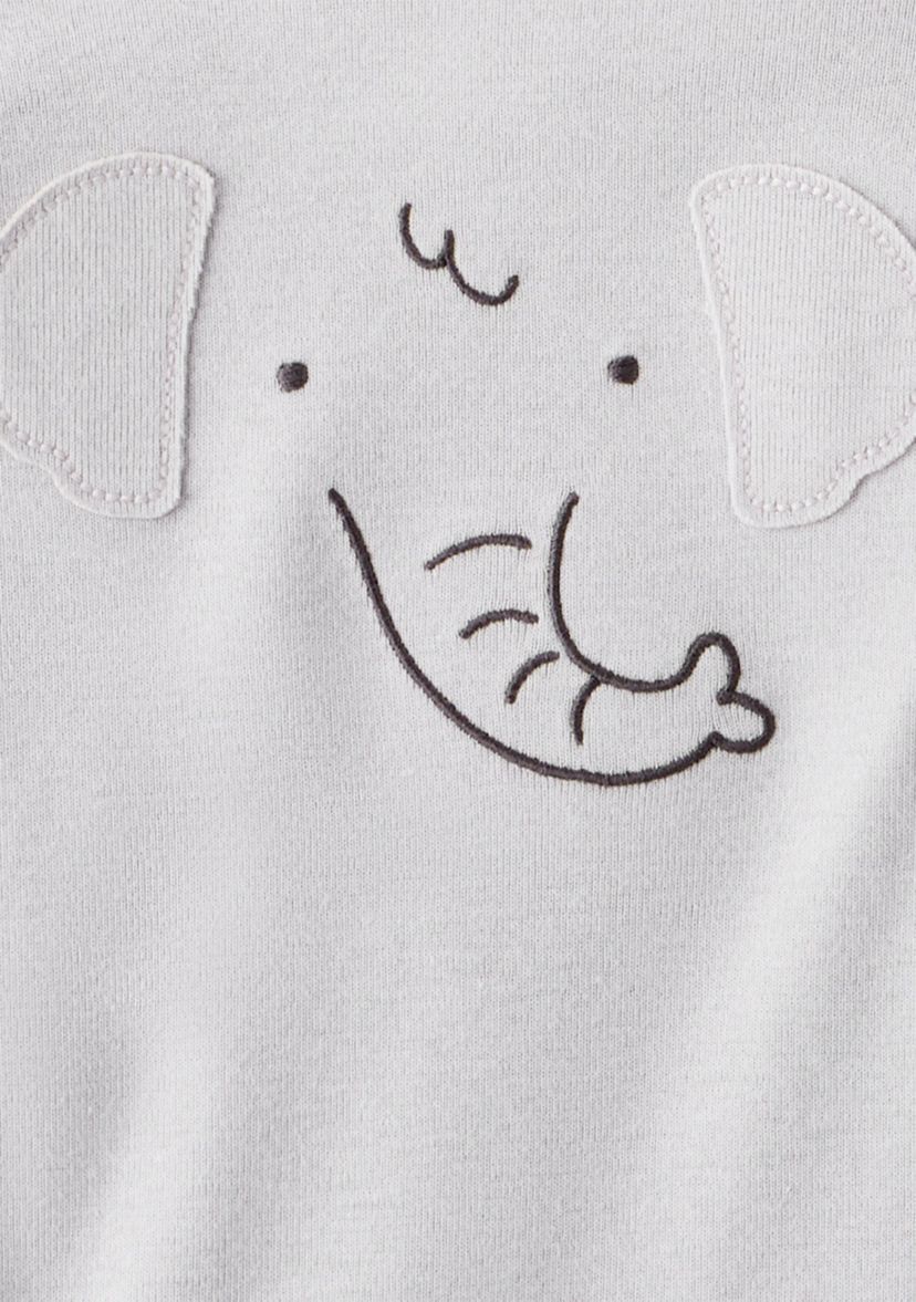 Baby Boys Long Sleeve Bodysuit Set