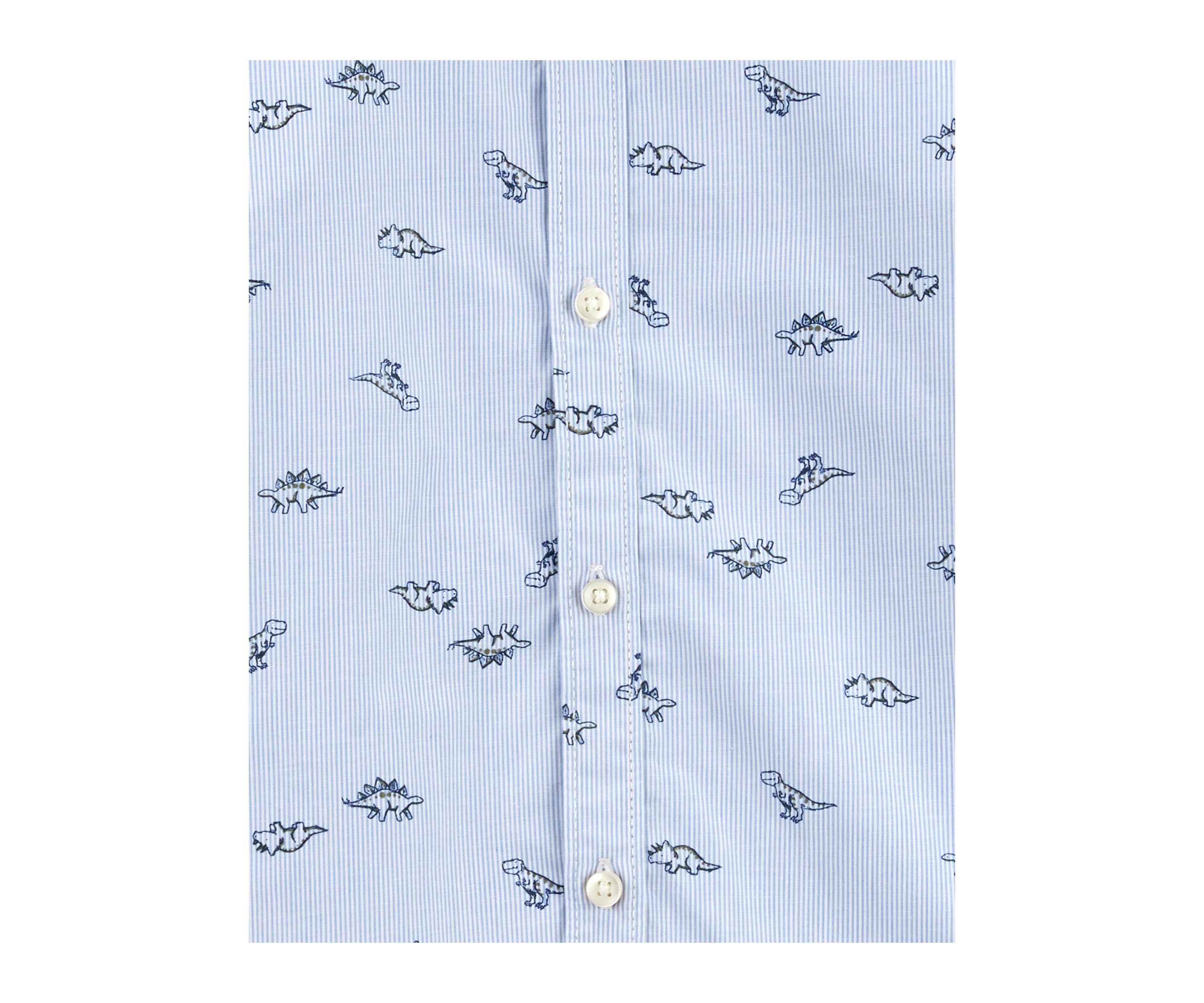 Toddler Boys Dinosaur Printed Shirt and Pants Set