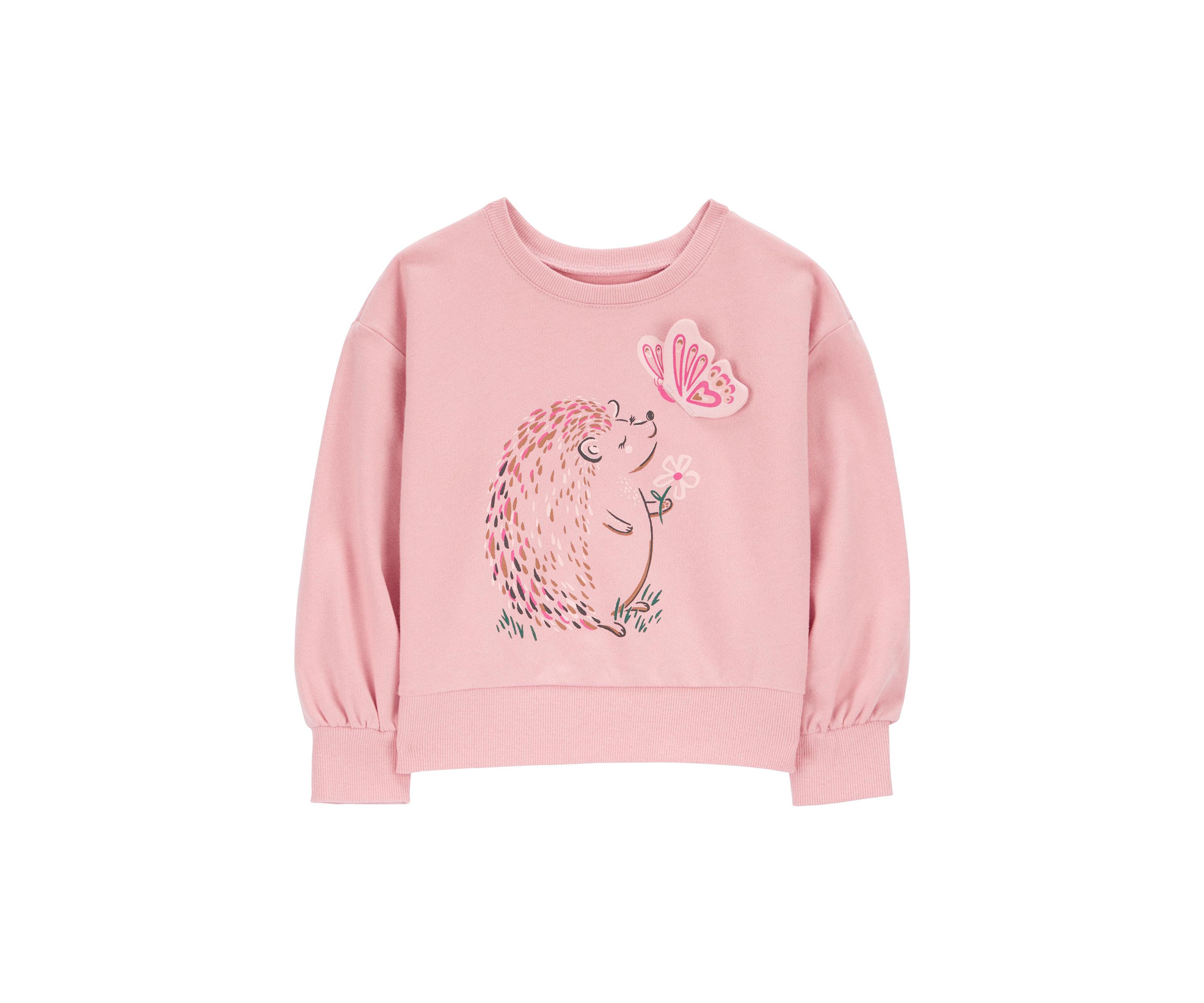 Toddler Girls Hedgehog Graphic Sweatshirt