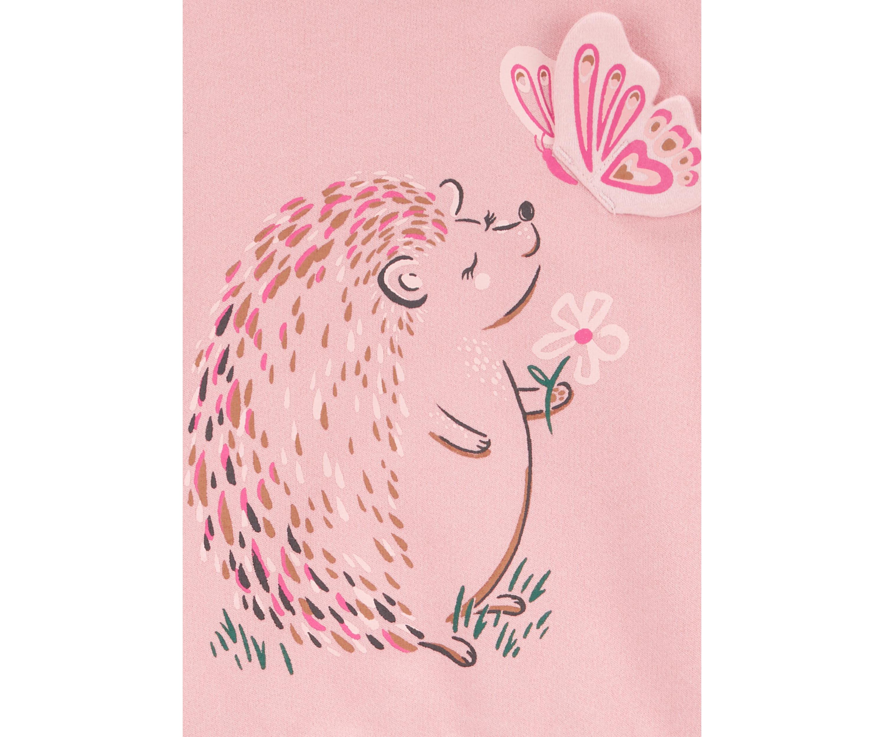 Toddler Girls Hedgehog Graphic Sweatshirt