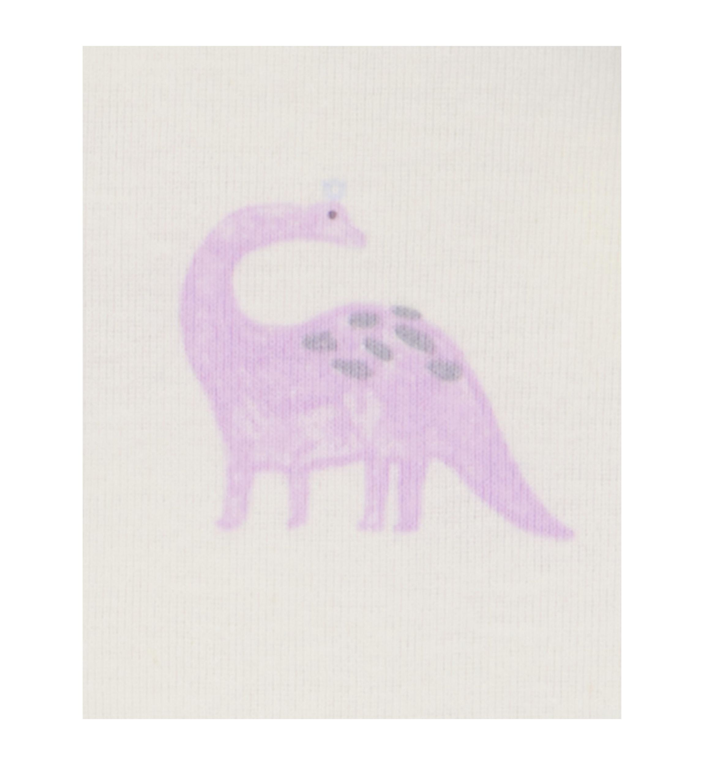 Toddler Girls Dinosaur Printed 4 Piece Pajama Set
