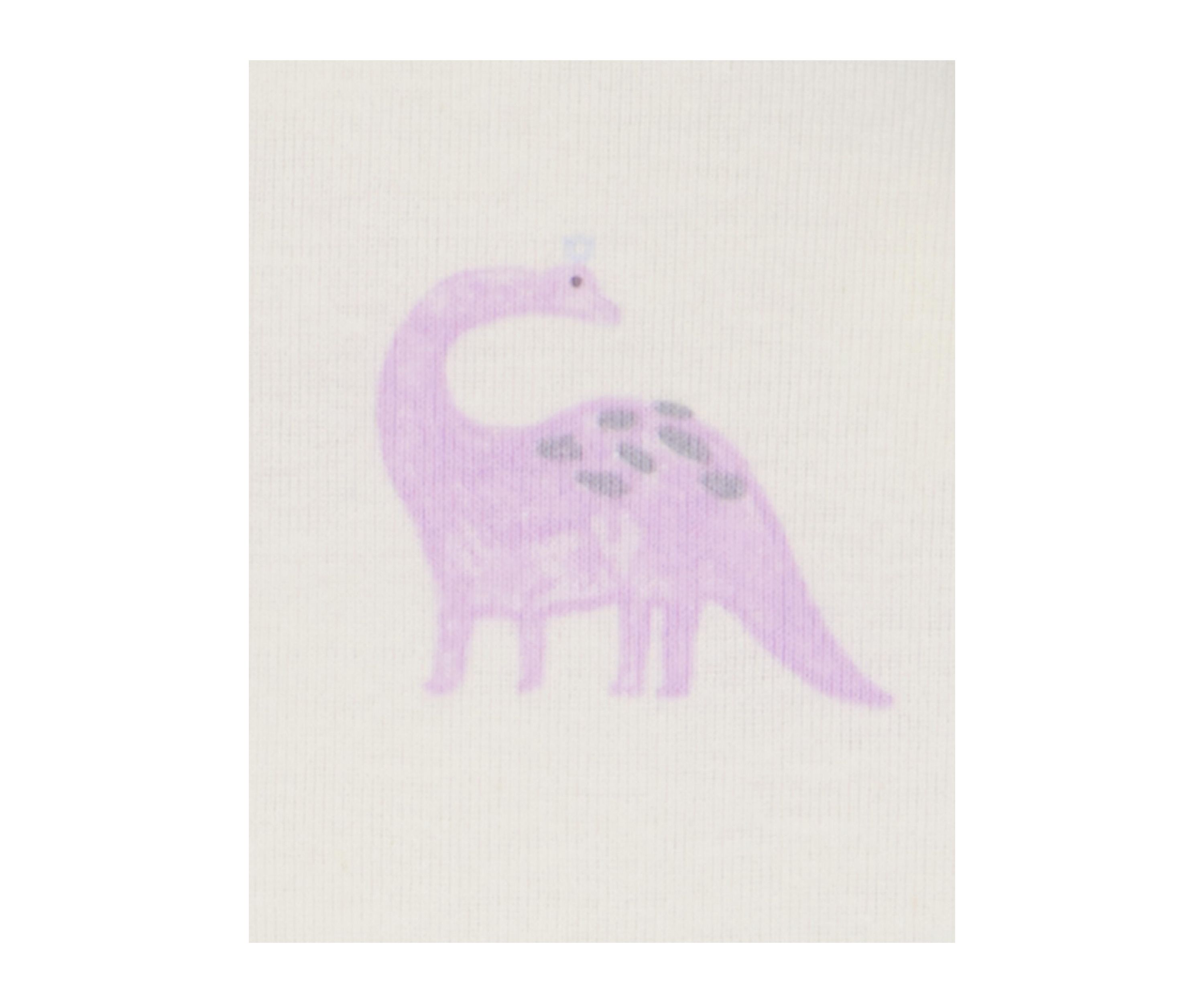 Toddler Girls Dinosaur Printed 4 Piece Pajama Set