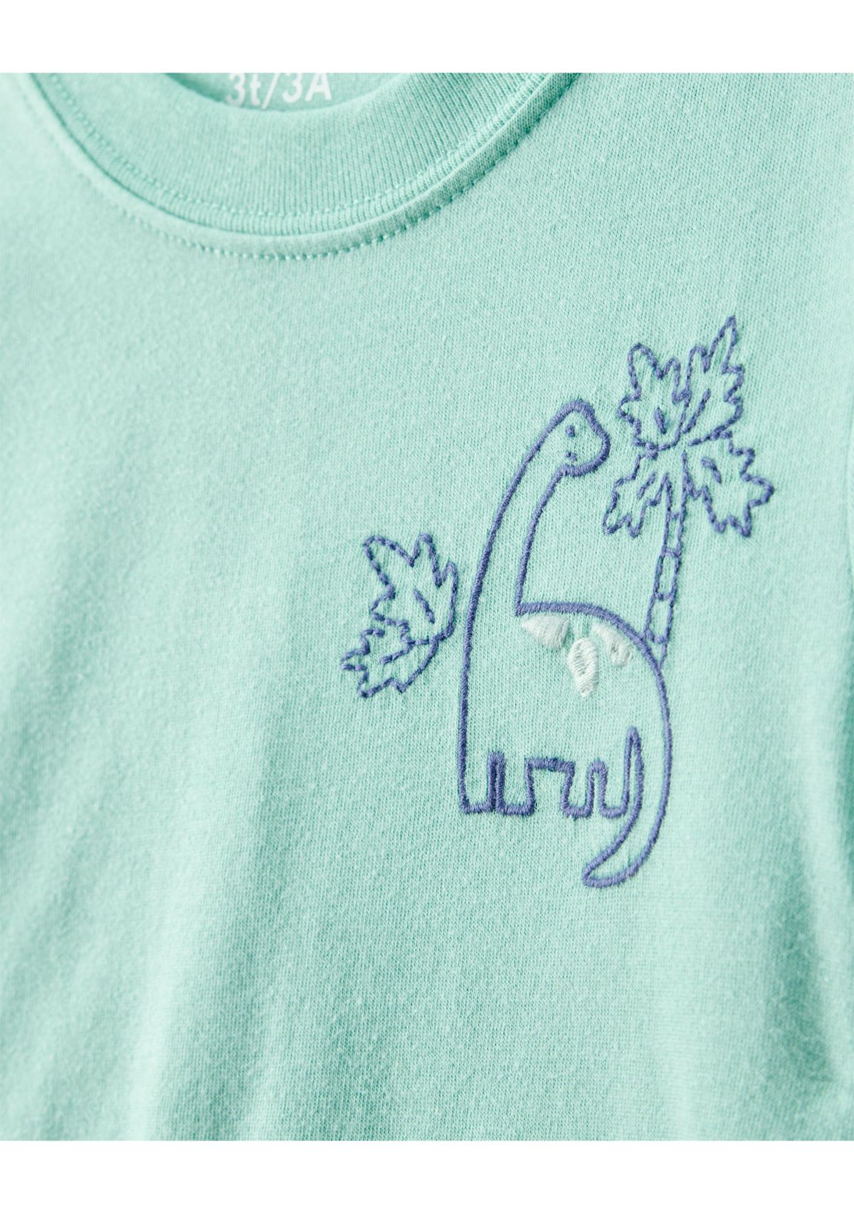 Toddler Boys T-Shirt and Printed Shorts Set