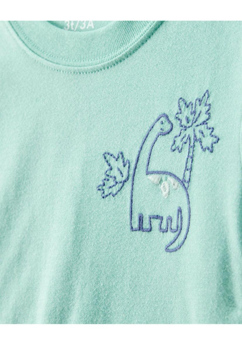 Toddler Boys T-Shirt and Printed Shorts Set