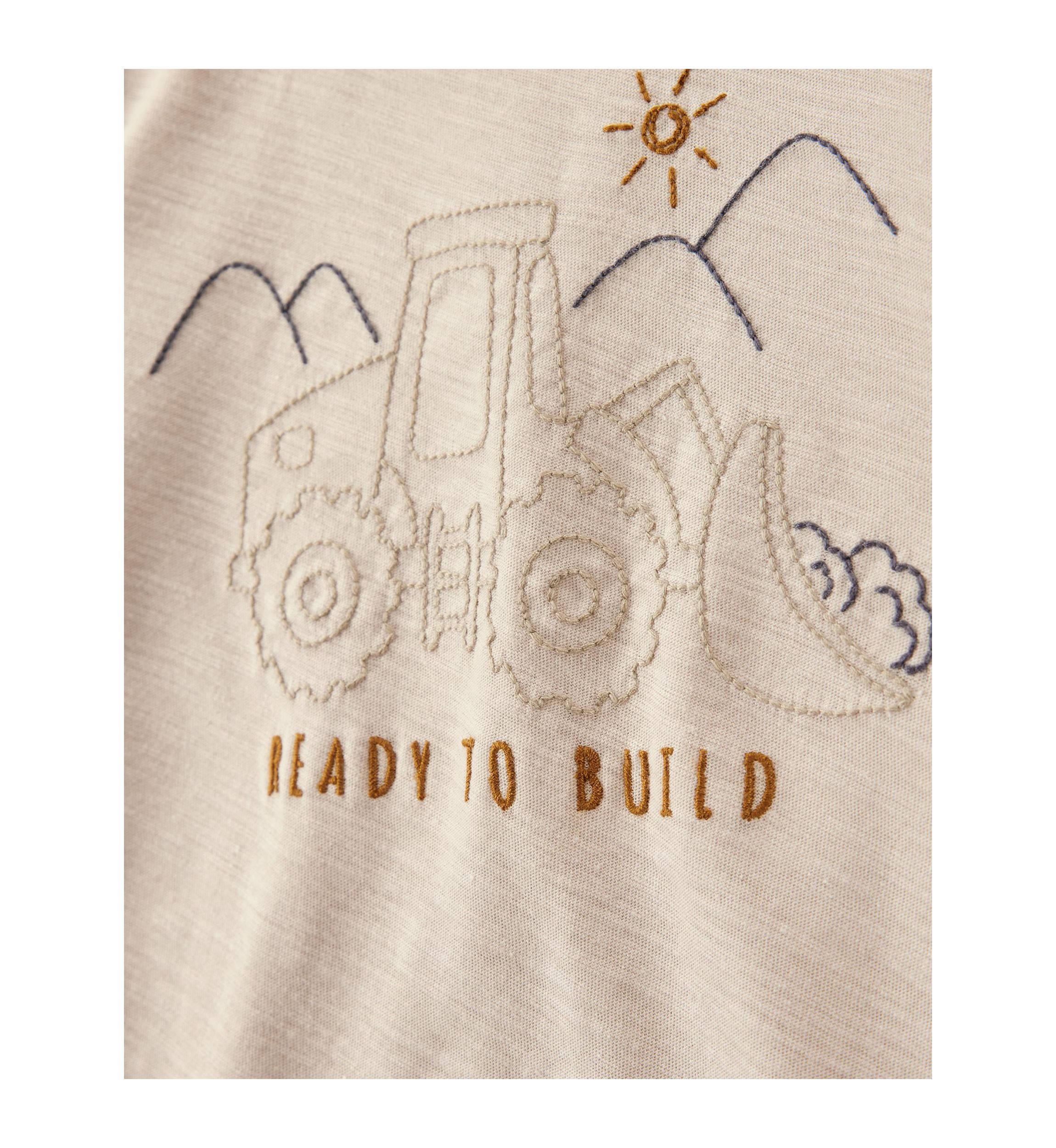 Toddler Boys Graphic T-Shirt and Shorts Set