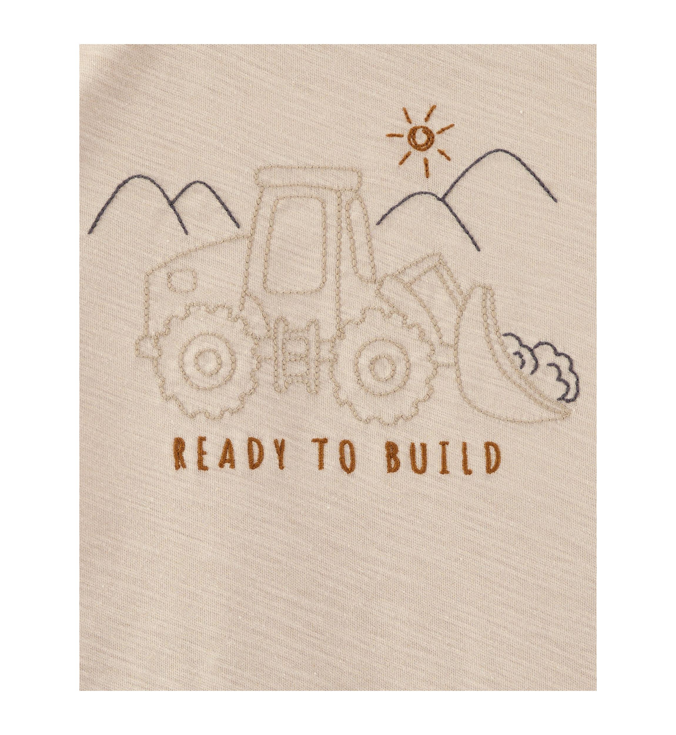 Toddler Boys Graphic T-Shirt and Shorts Set