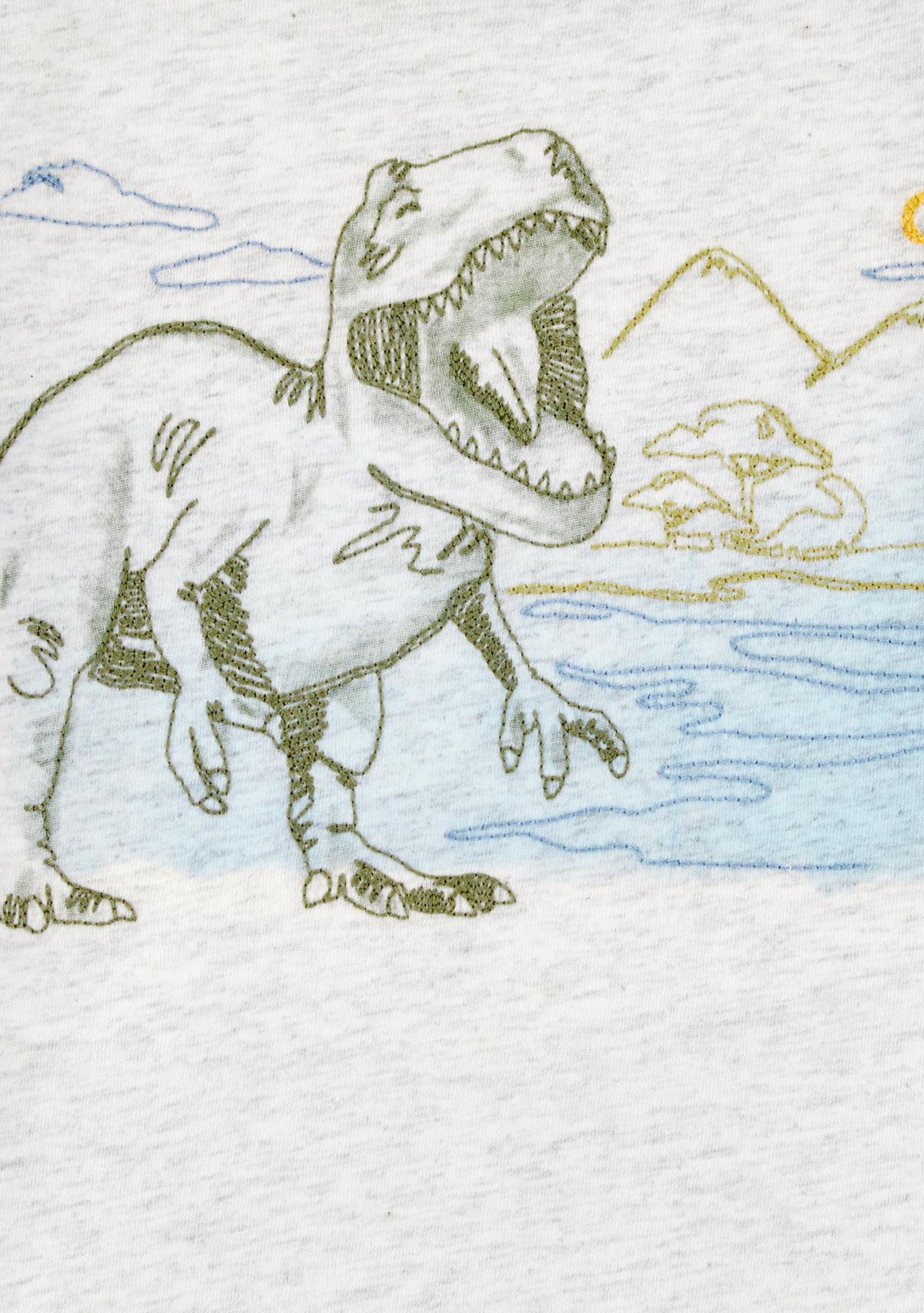 Toddler Boys Short Sleeve Dinosaur Graphic T-Shirt