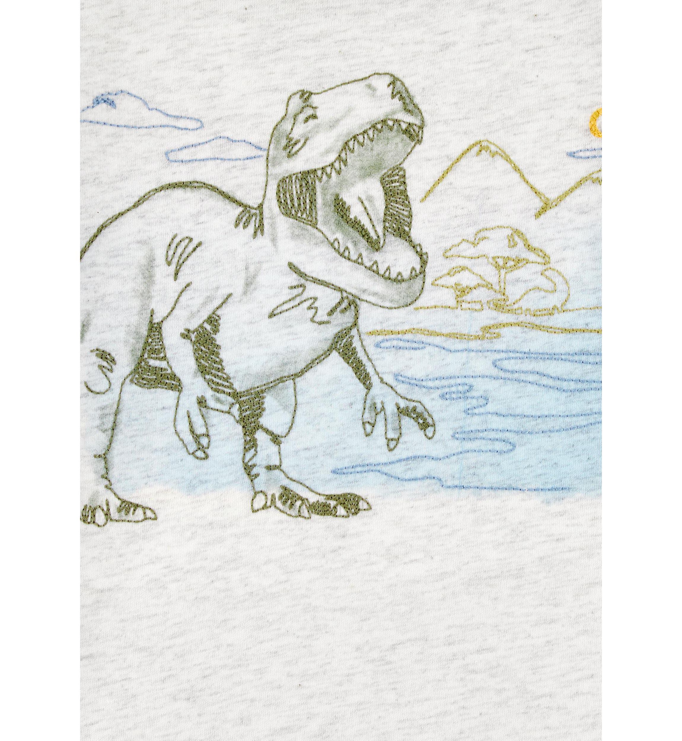 Toddler Boys Short Sleeve Dinosaur Graphic T-Shirt