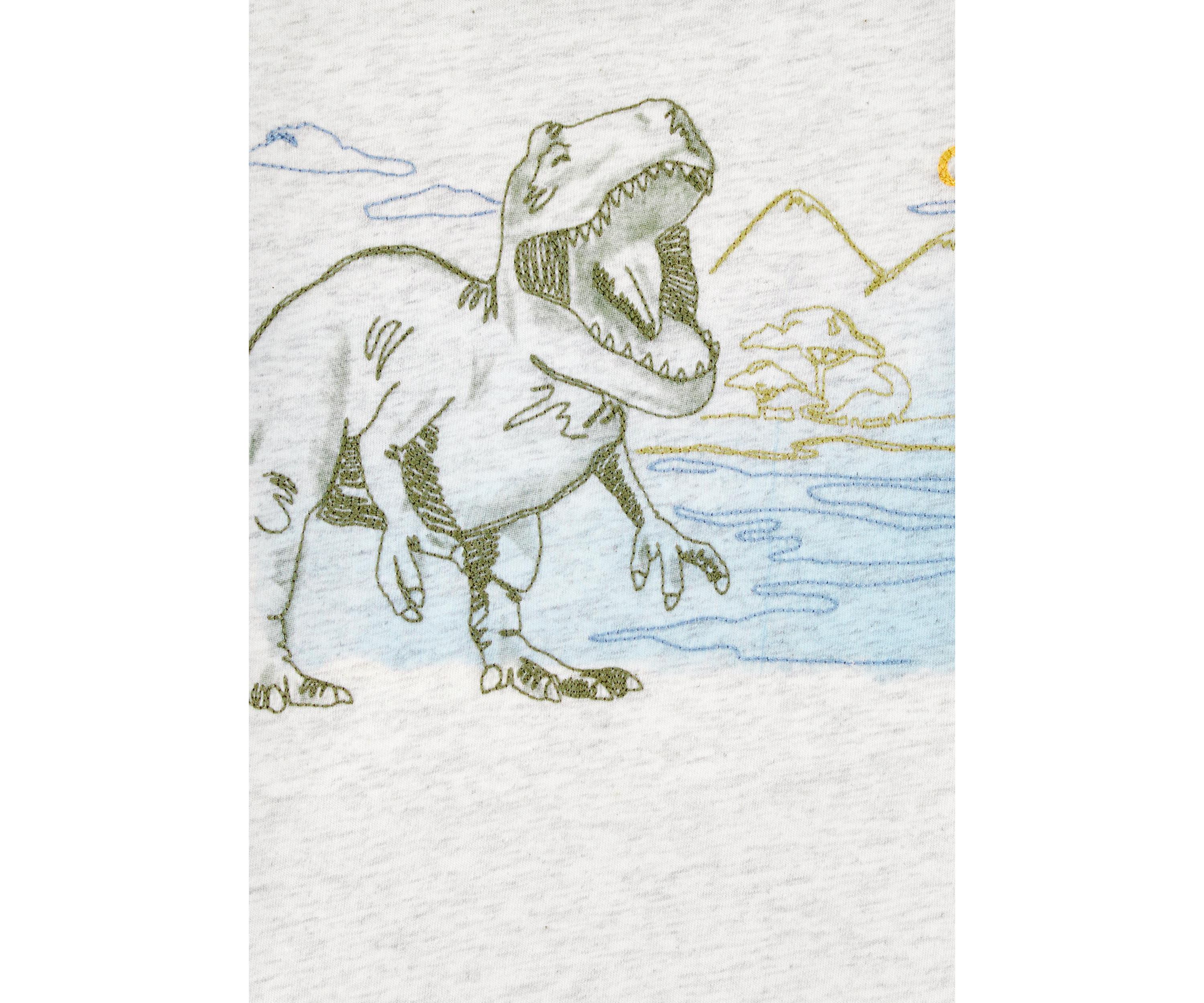 Toddler Boys Short Sleeve Dinosaur Graphic T-Shirt