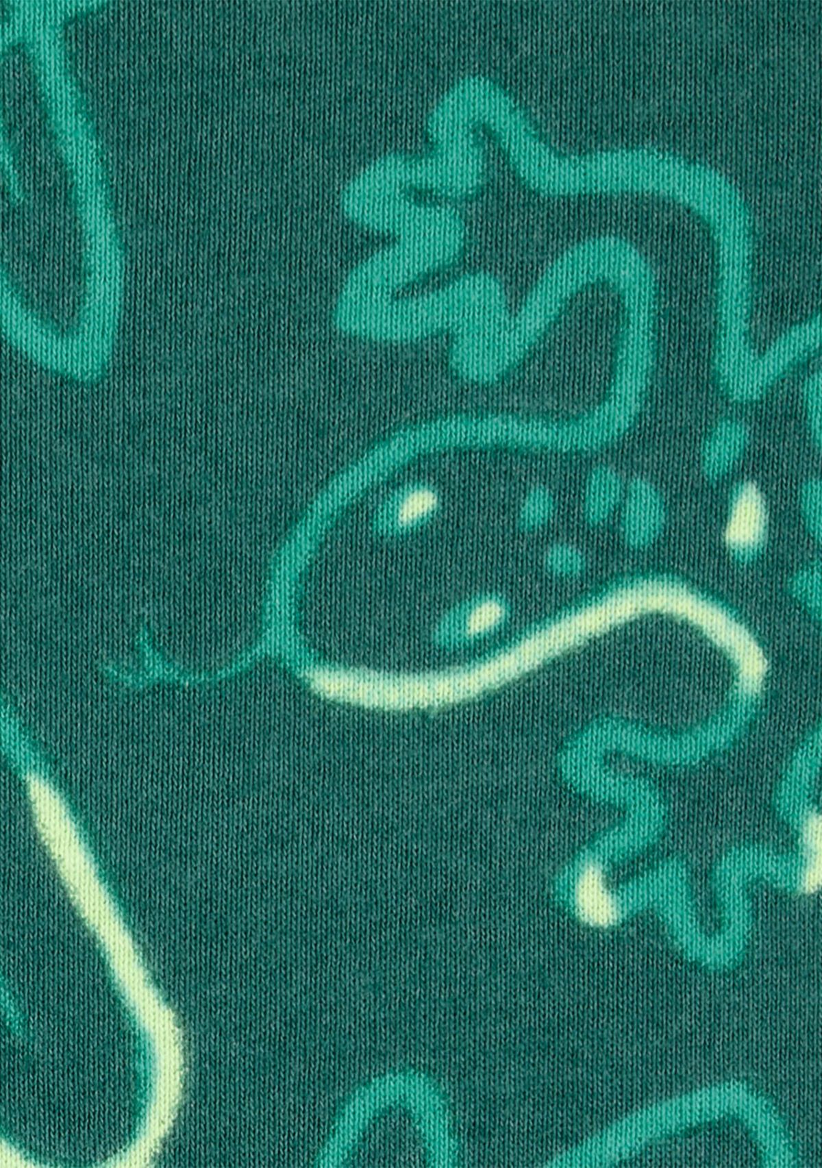 Toddler Boys 4 Piece Lizard Pajama Set