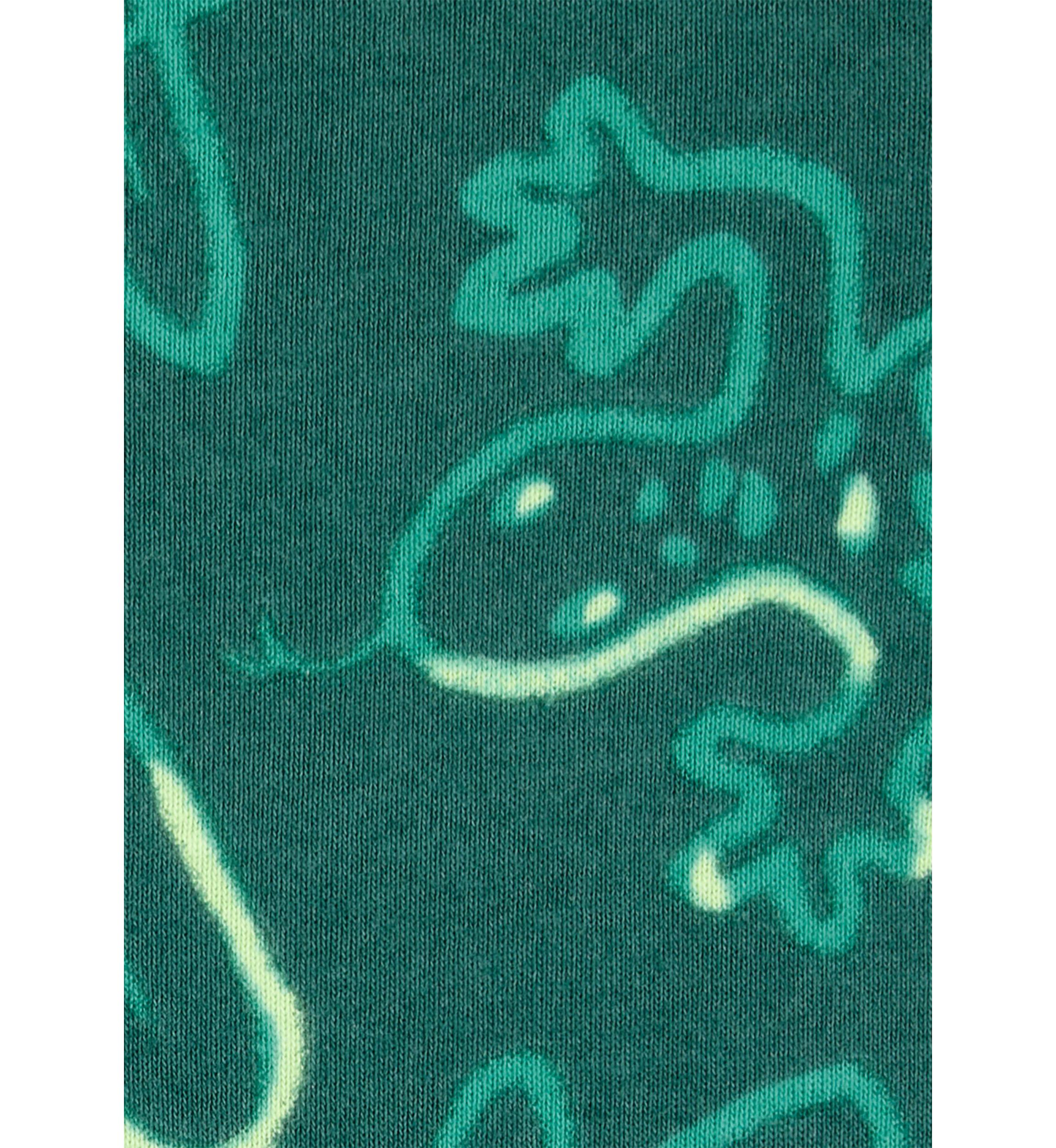 Toddler Boys 4 Piece Lizard Pajama Set