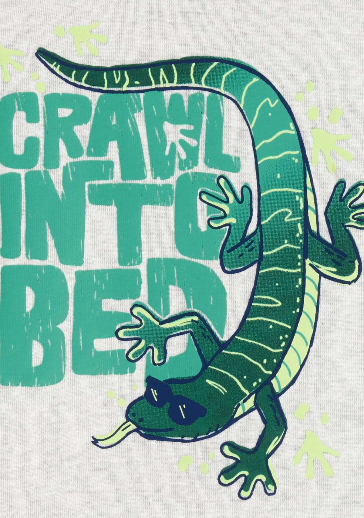 Toddler Boys 4 Piece Lizard Pajama Set