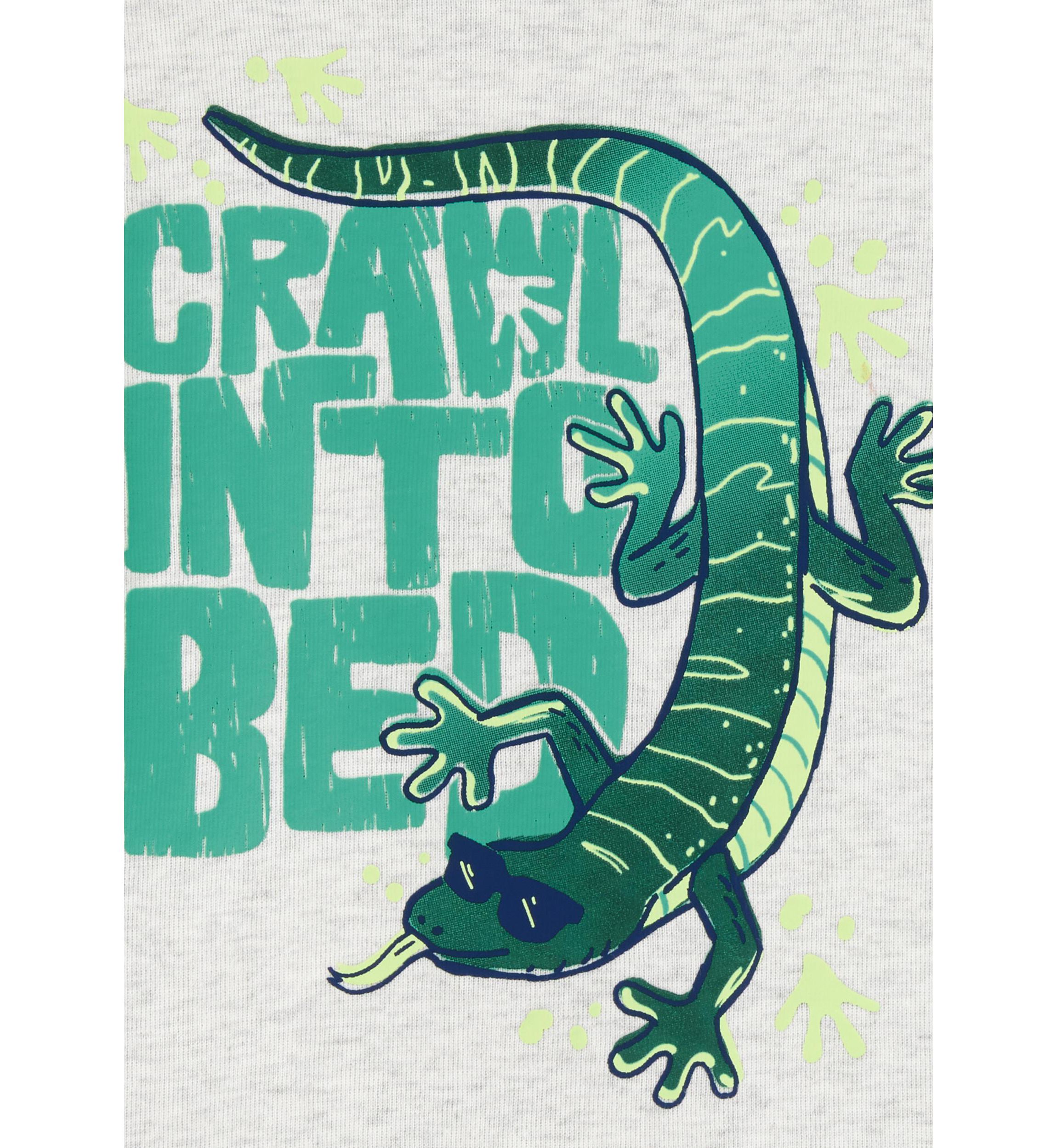 Toddler Boys 4 Piece Lizard Pajama Set