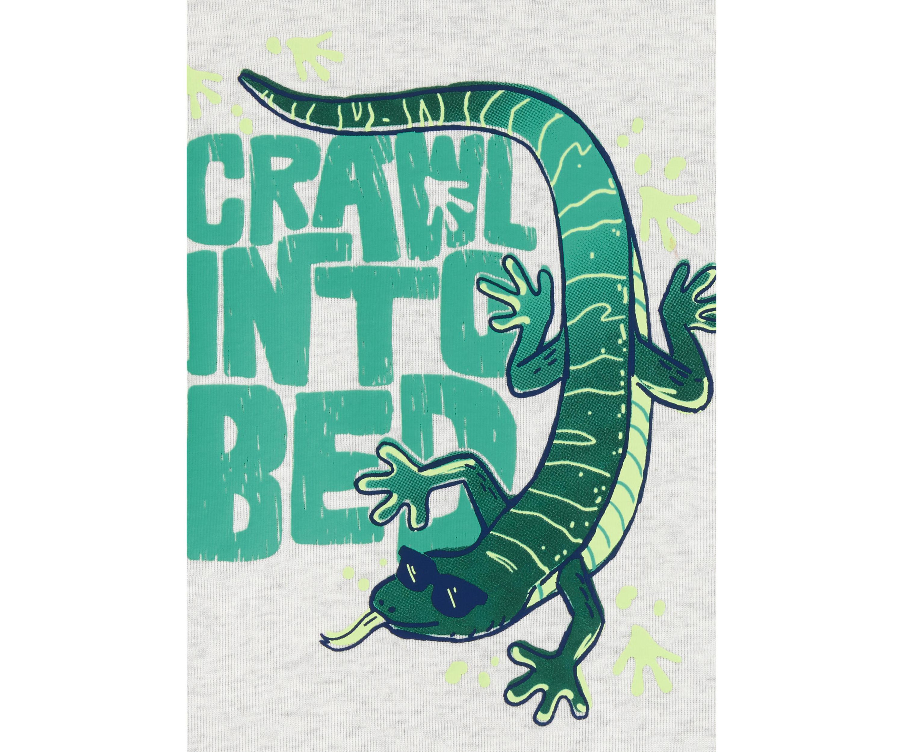 Toddler Boys 4 Piece Lizard Pajama Set