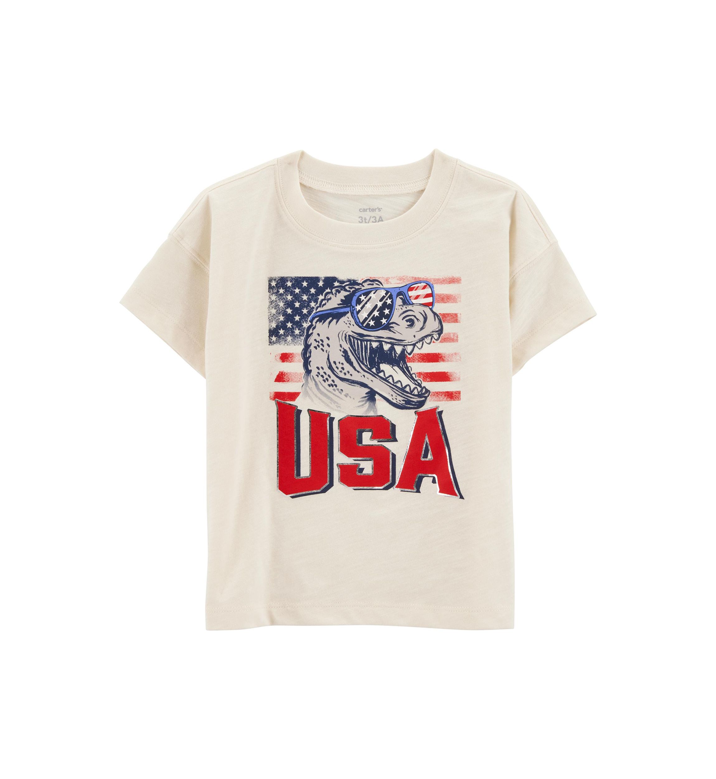 Toddler Boys Dinosaur American Flag Graphic T-Shirt