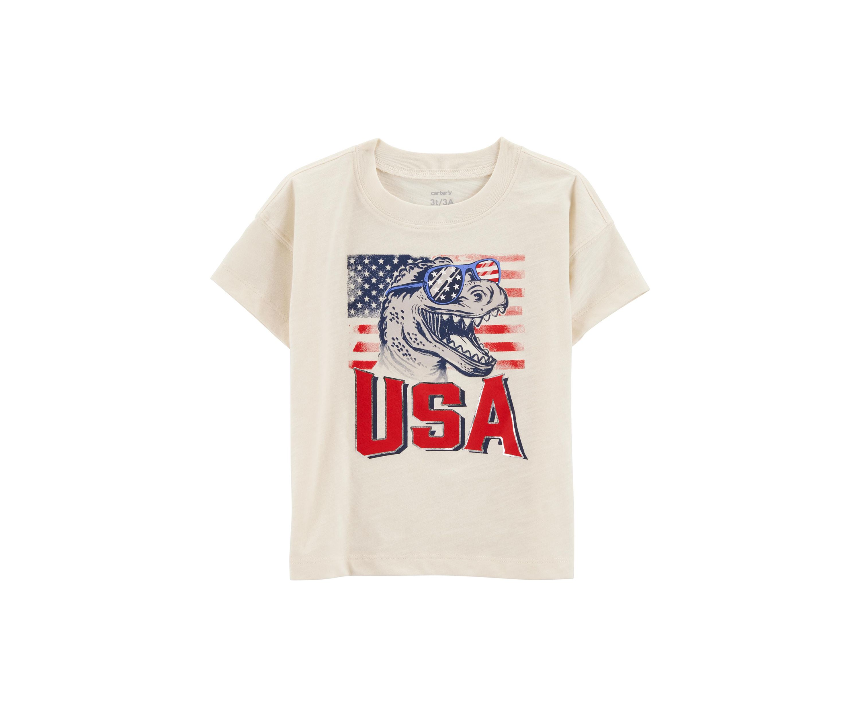 Toddler Boys Dinosaur American Flag Graphic T-Shirt