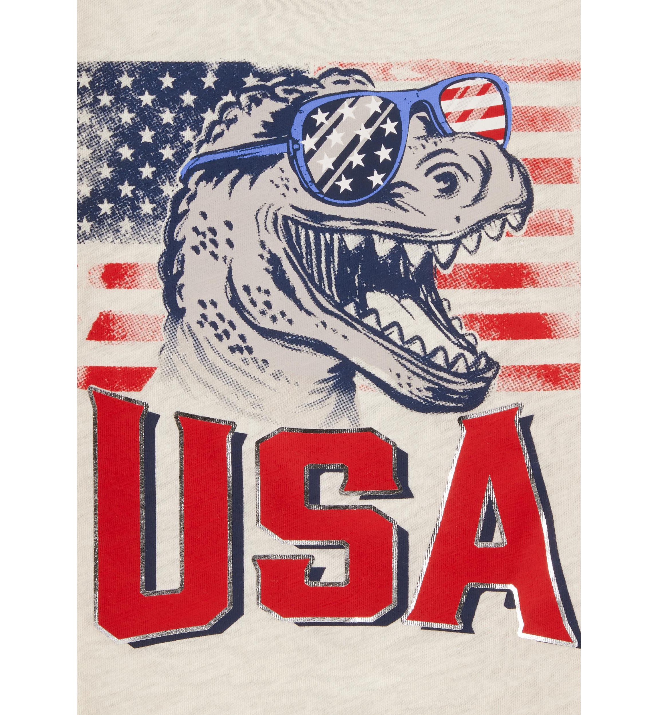 Toddler Boys Dinosaur American Flag Graphic T-Shirt