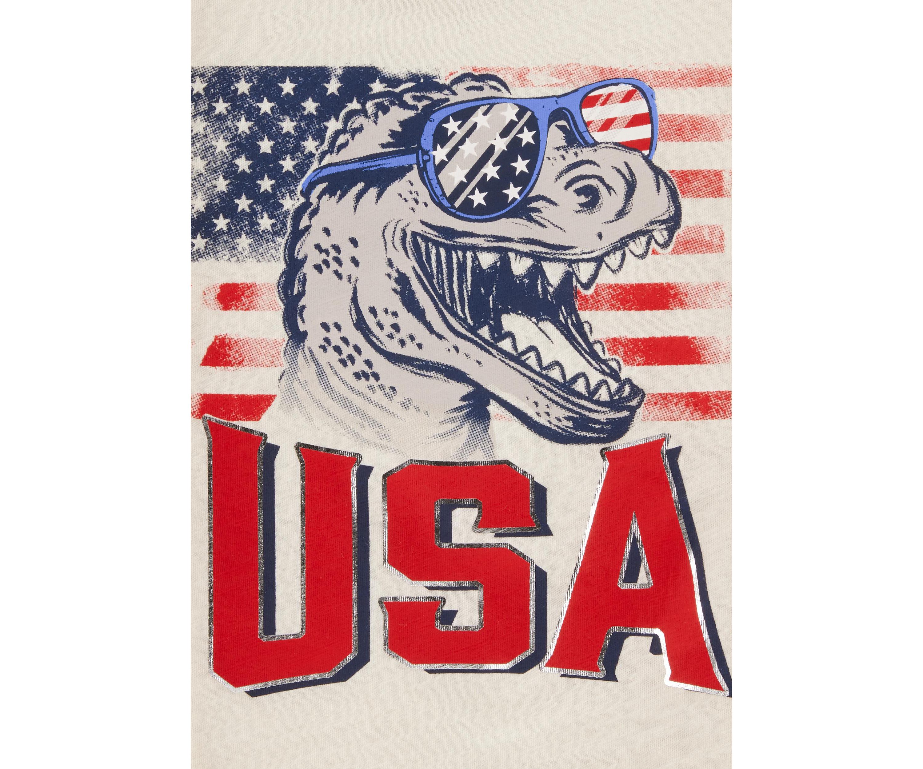 Toddler Boys Dinosaur American Flag Graphic T-Shirt