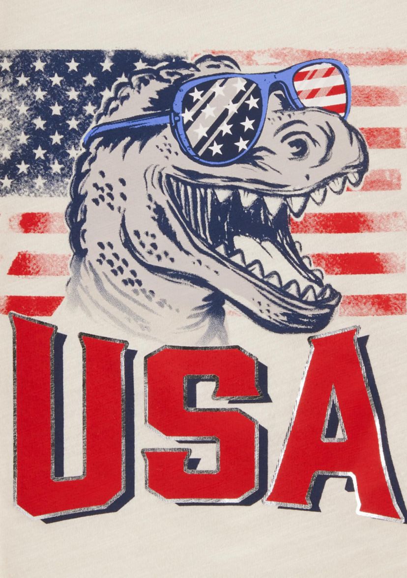 Toddler Boys Dinosaur American Flag Graphic T-Shirt