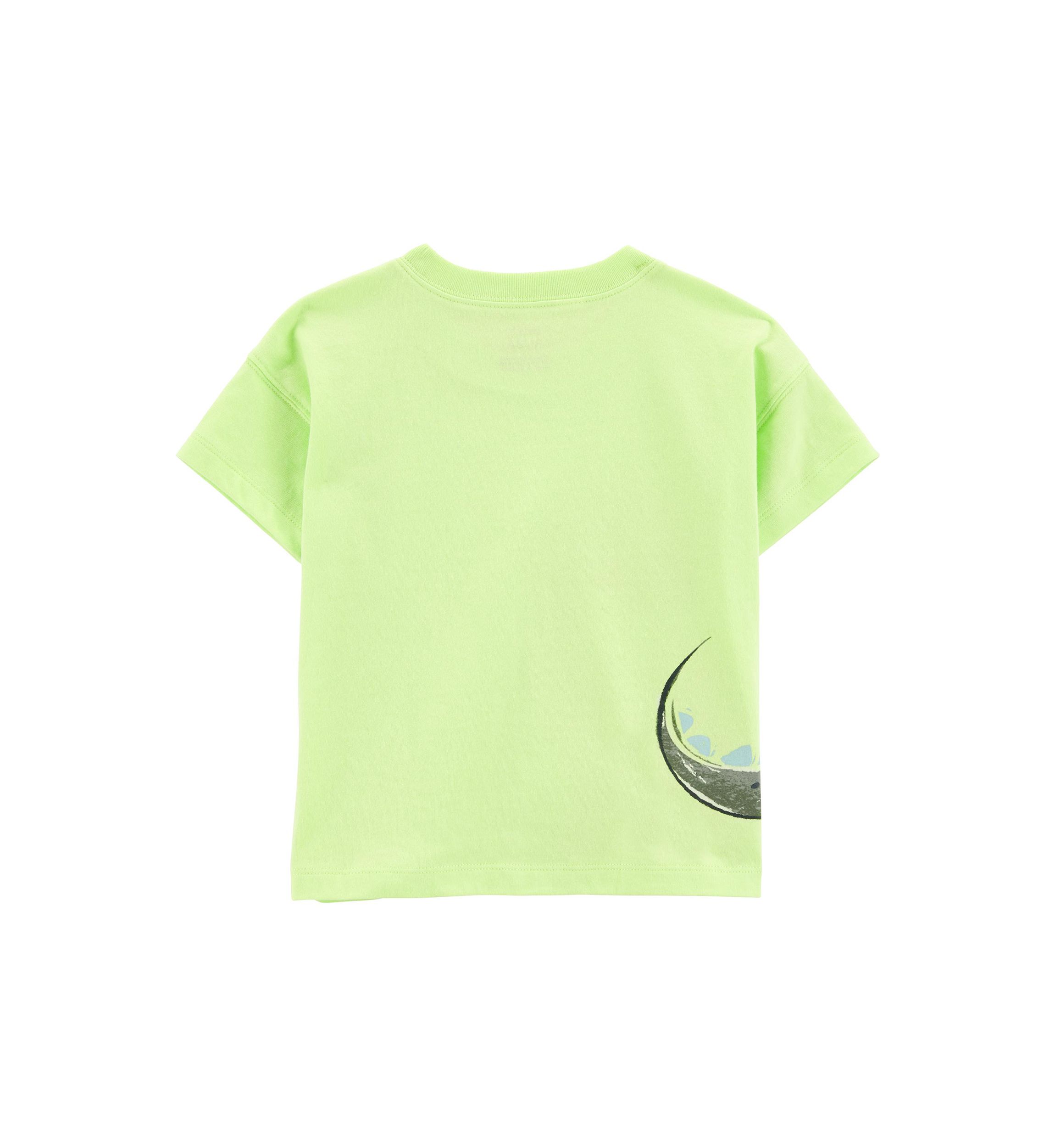 Toddler Boys Dinosaur Graphic T-Shirt and Shorts Set