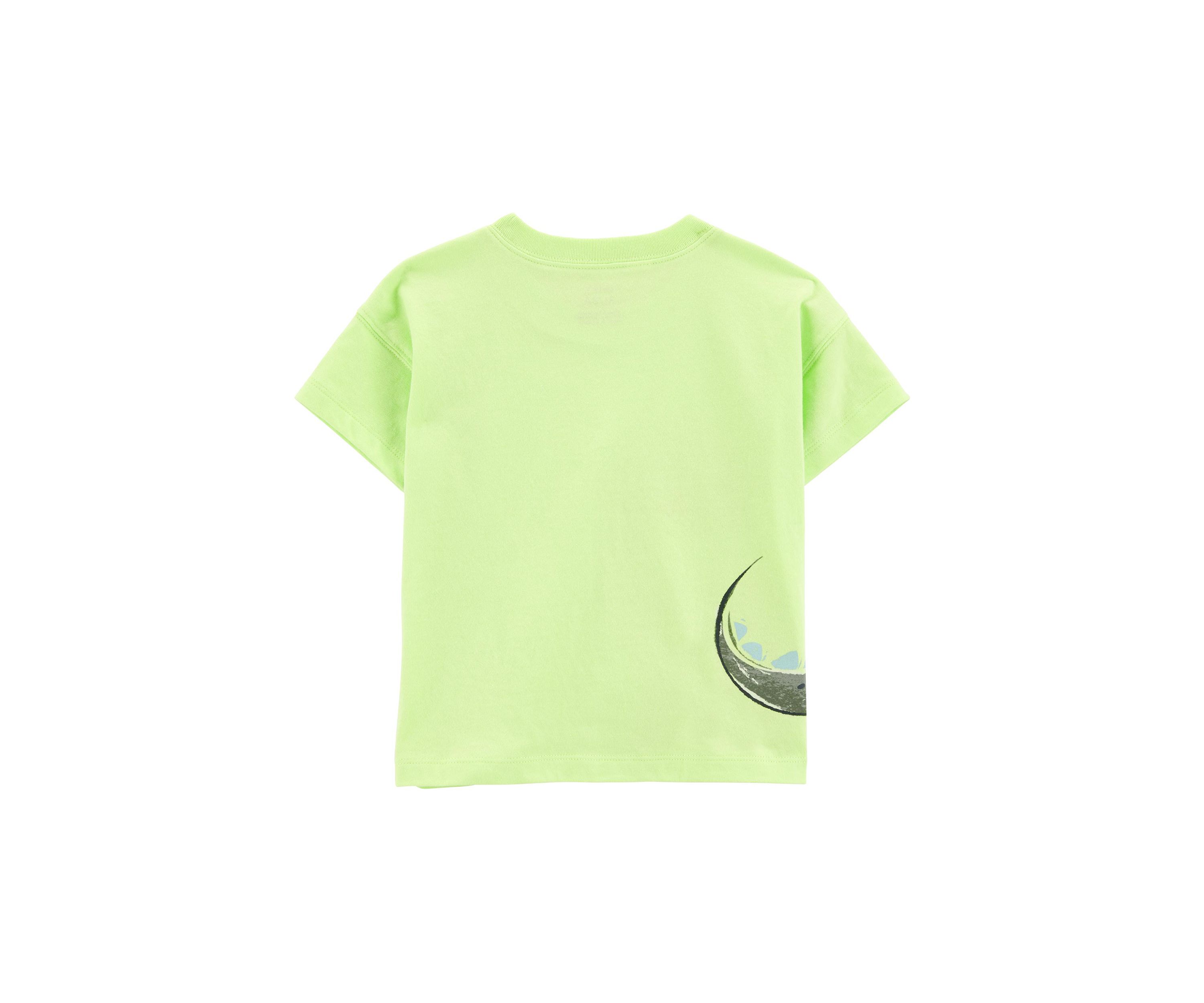 Toddler Boys Dinosaur Graphic T-Shirt and Shorts Set