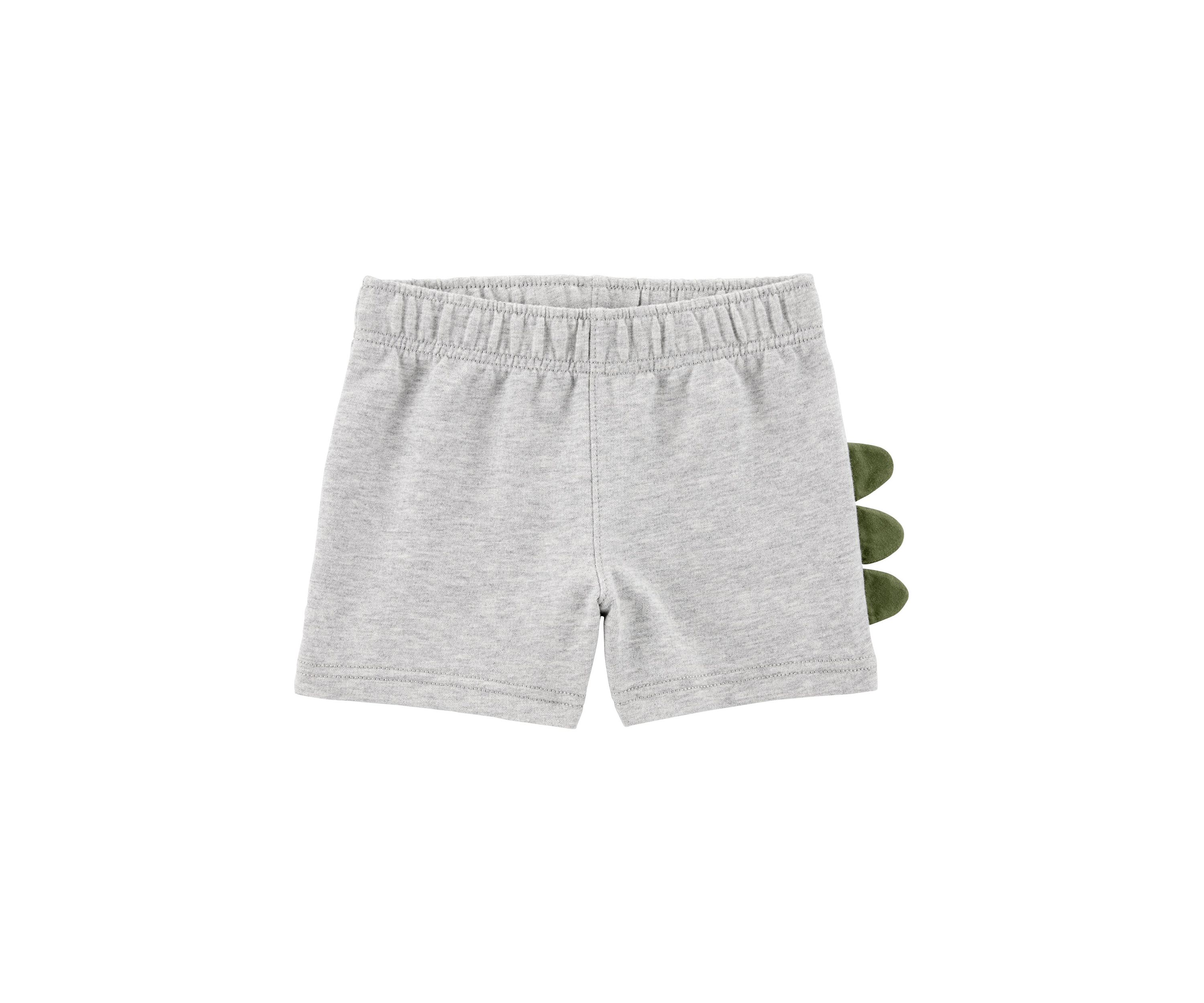 Toddler Boys Dinosaur Graphic T-Shirt and Shorts Set