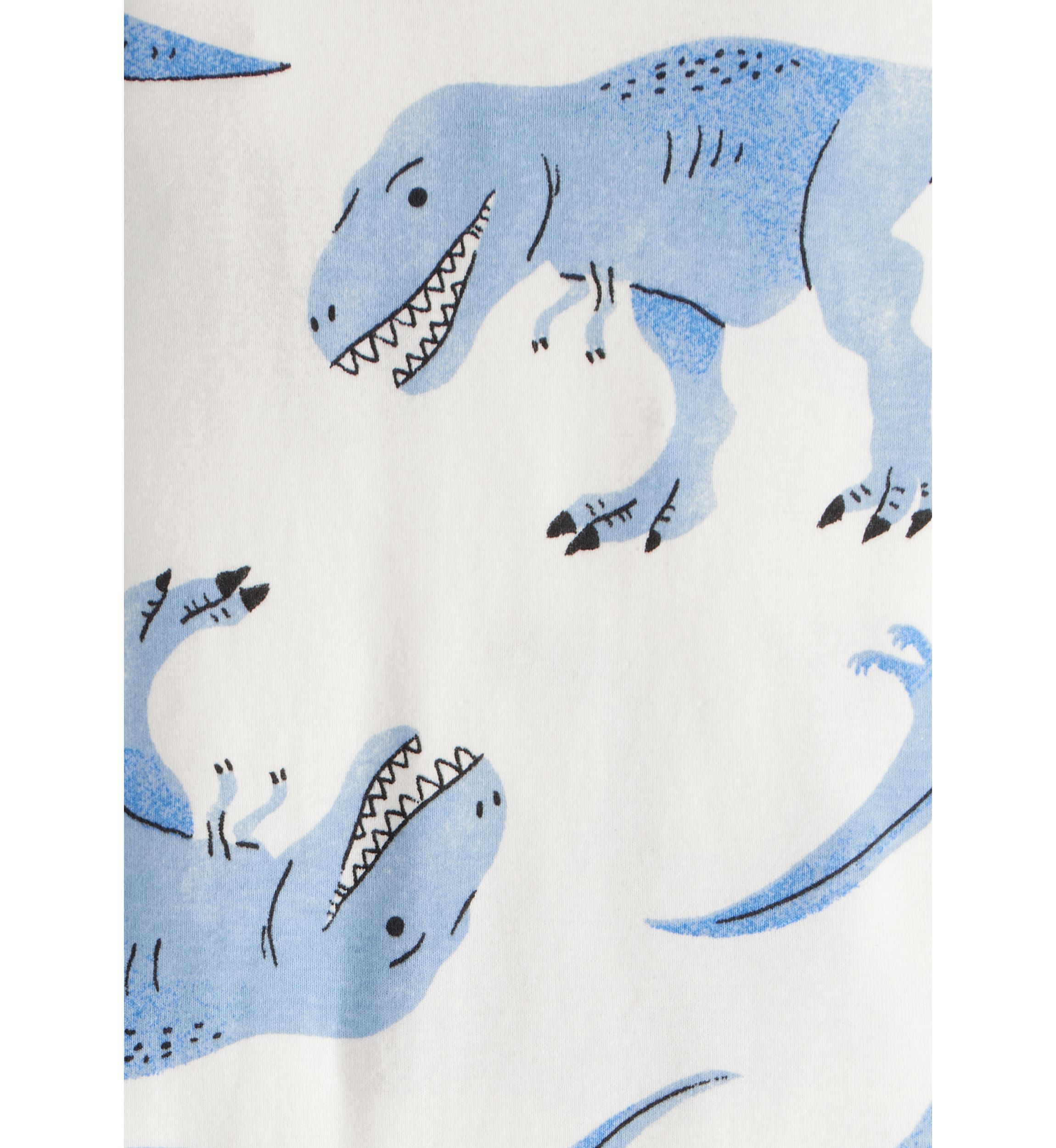 Toddler Boys 4 Piece Dinosaur Pajama Set