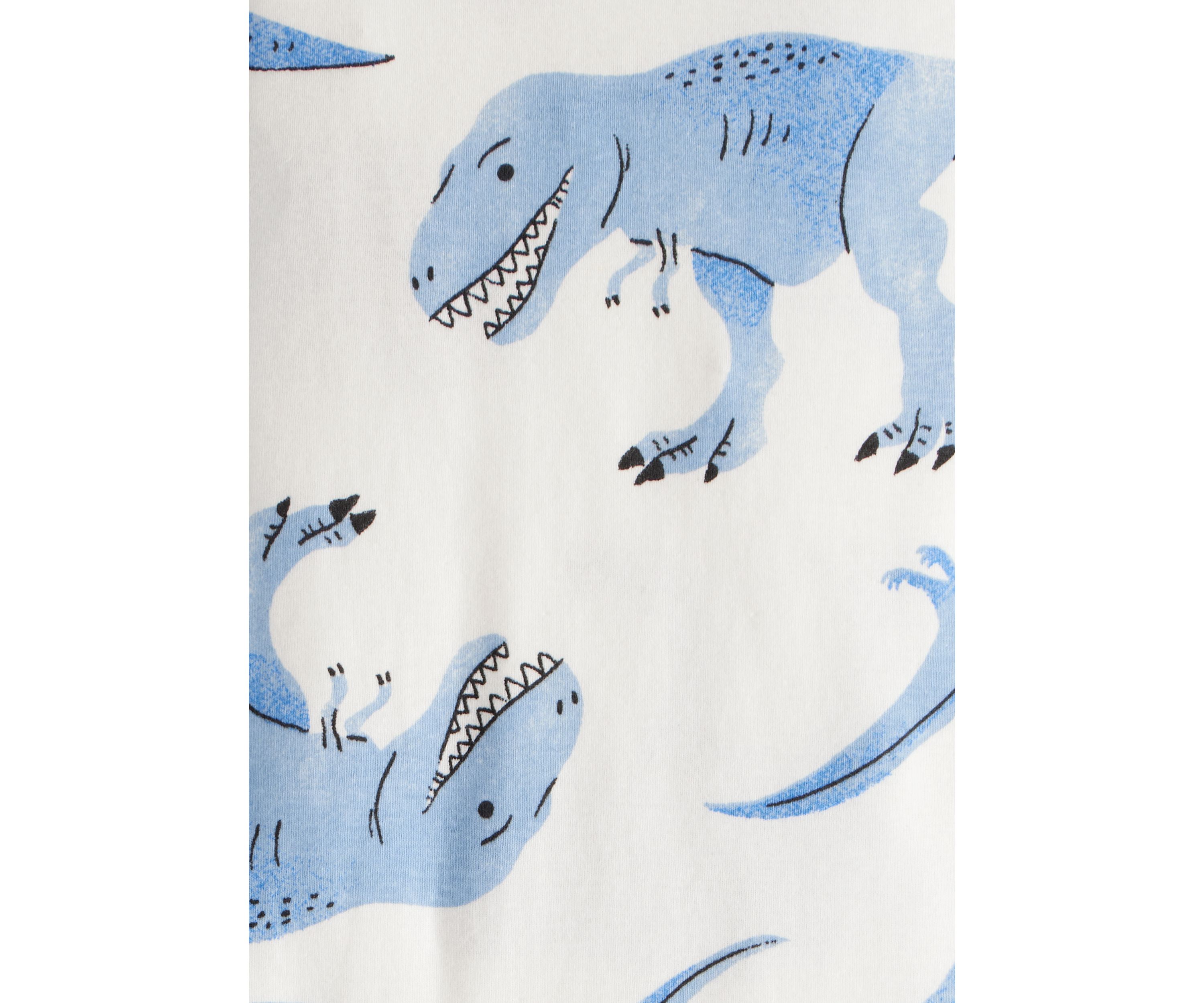 Toddler Boys 4 Piece Dinosaur Pajama Set