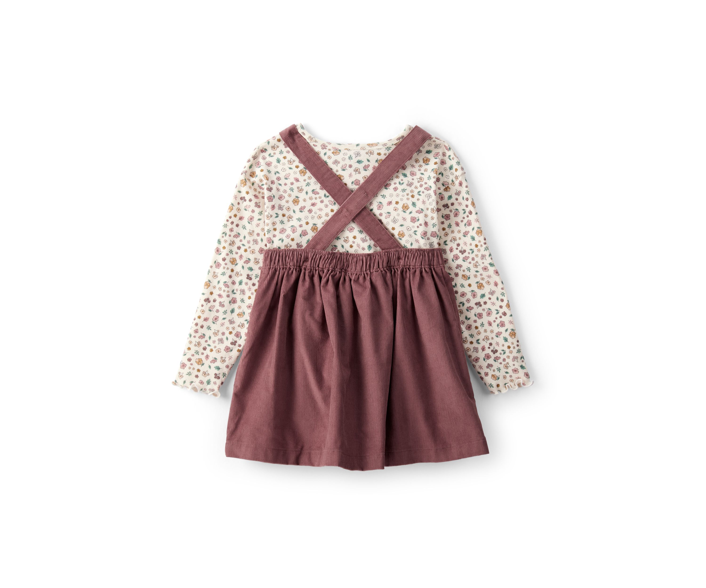 Toddler Girls Printed Top and Jumper Dress Set