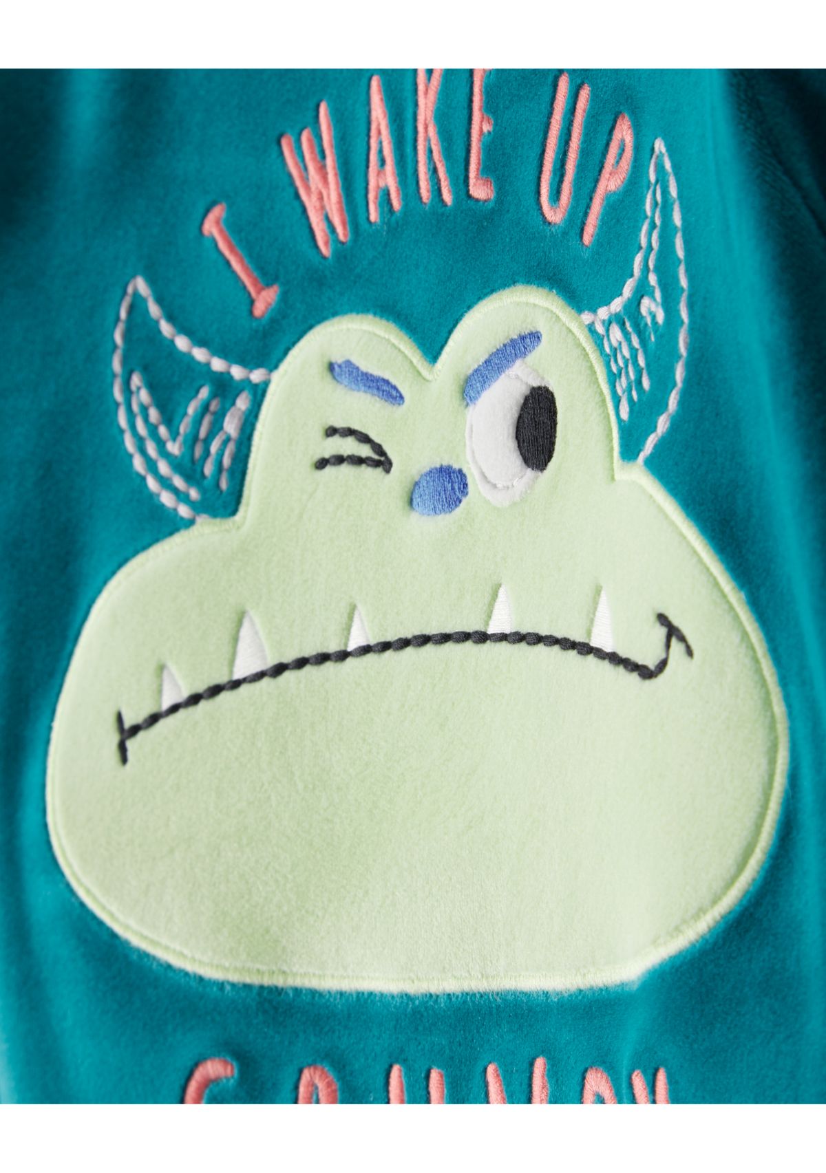 Toddler Boys Frog Pajama Pants