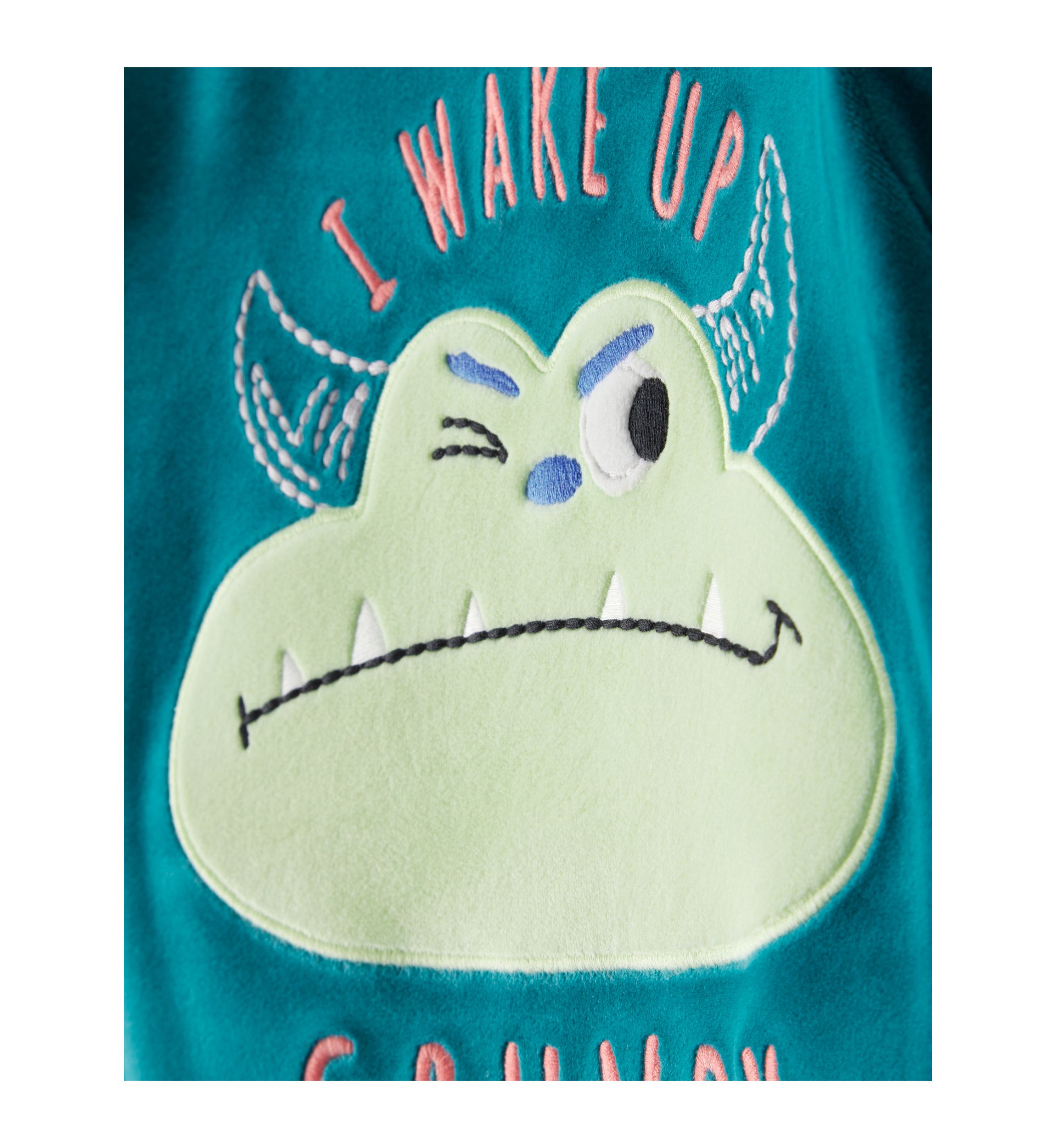 Toddler Boys Frog Pajama Pants
