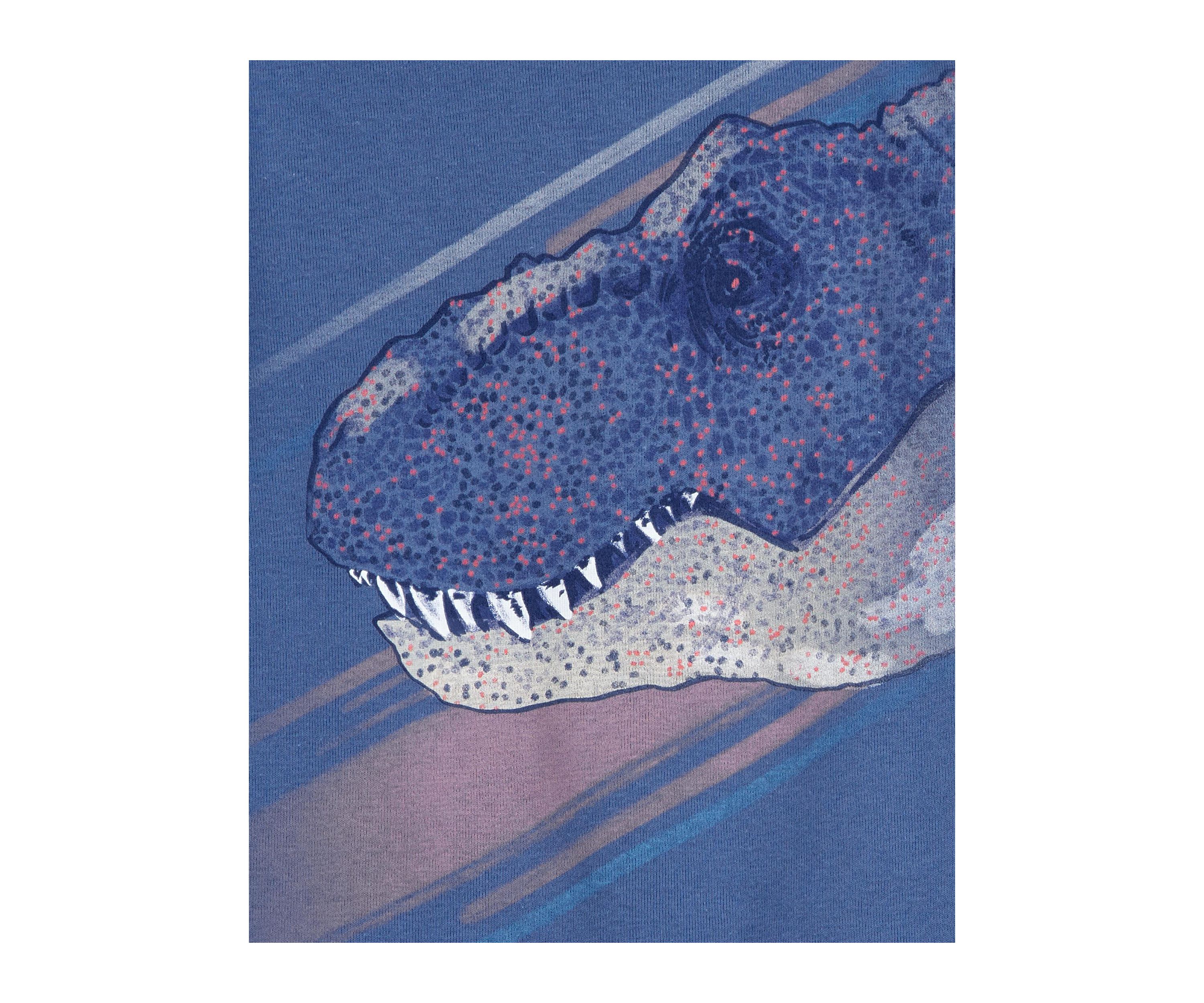 Boys 5-10 Dinosaur Printed 4 Piece Pajama Set