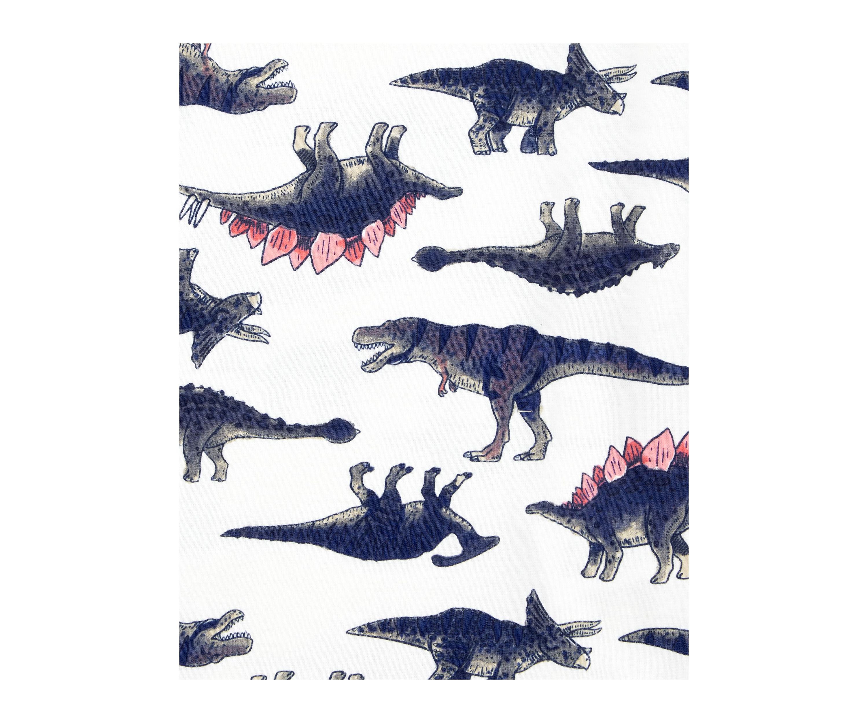 Boys 5-10 Dinosaur Printed 4 Piece Pajama Set