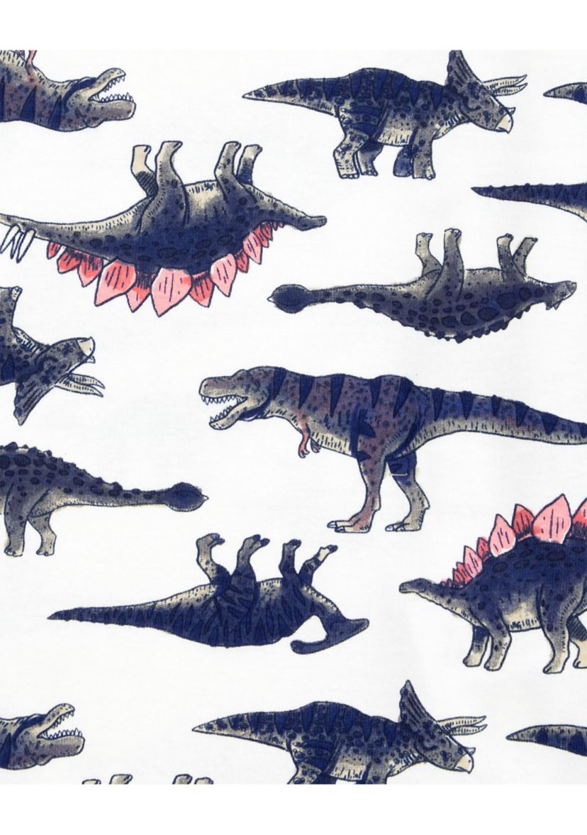Boys 5-10 Dinosaur Printed 4 Piece Pajama Set
