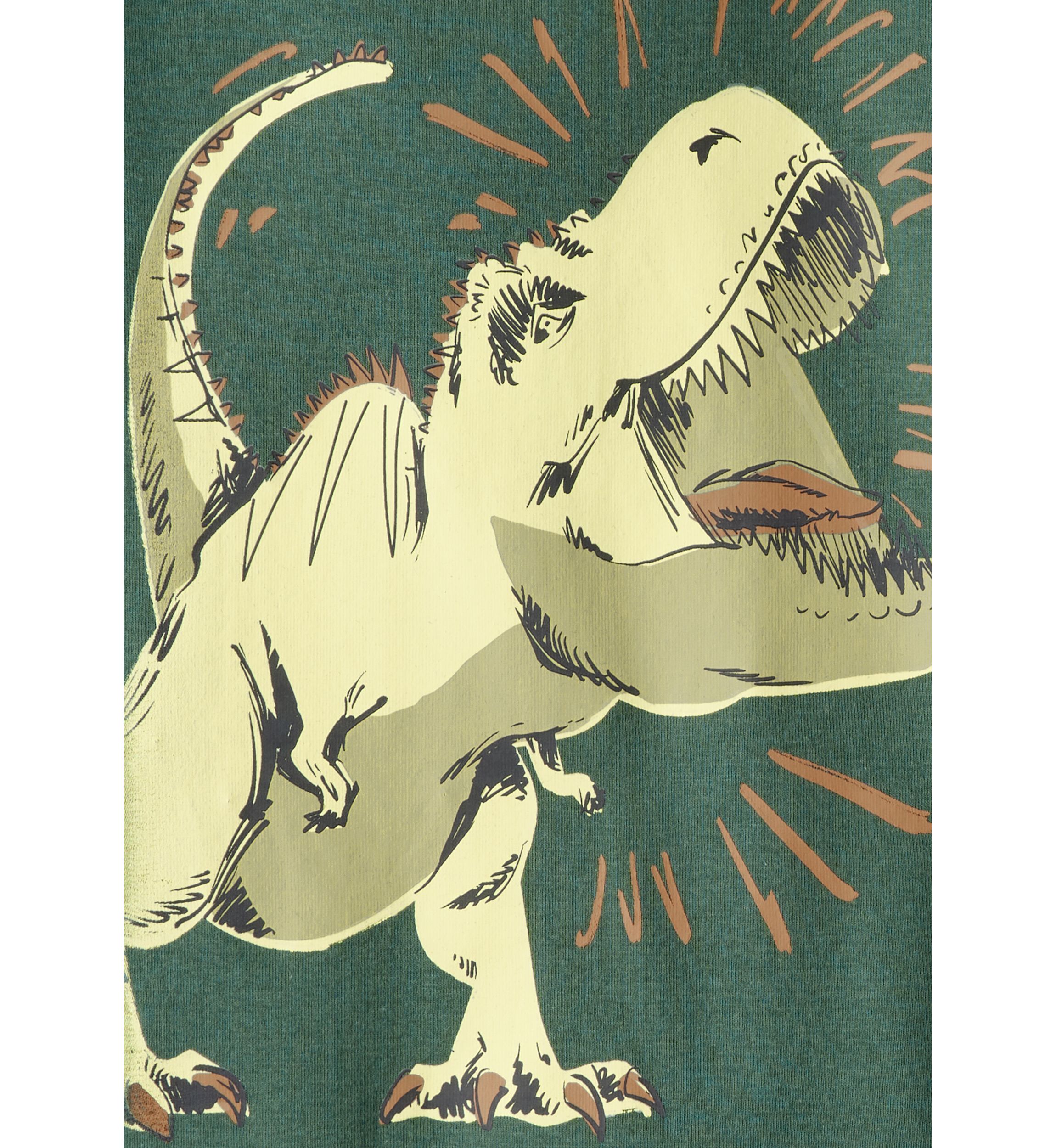 Boys 4-7 Dino Sleep Set