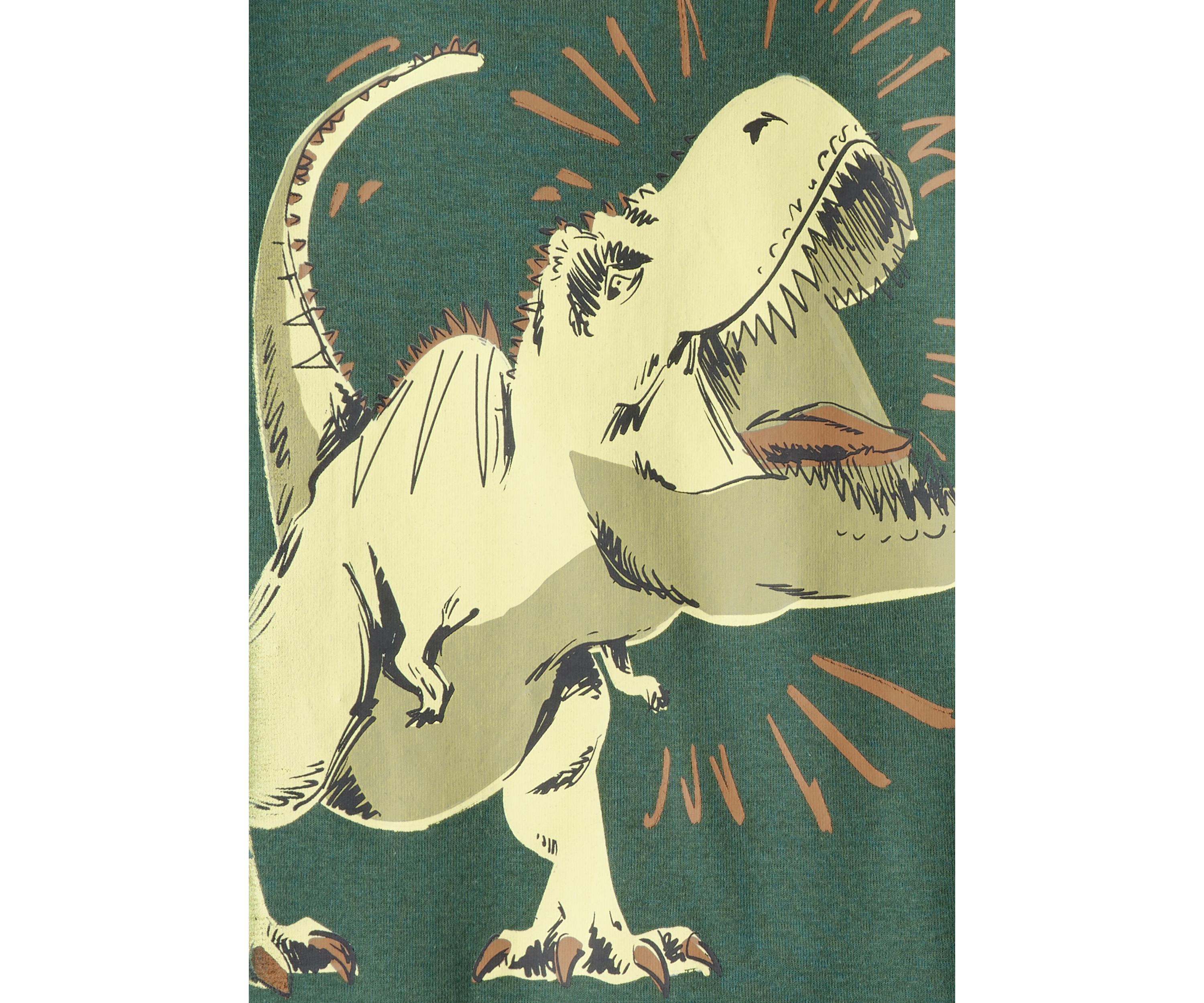 Boys 4-7 Dino Sleep Set