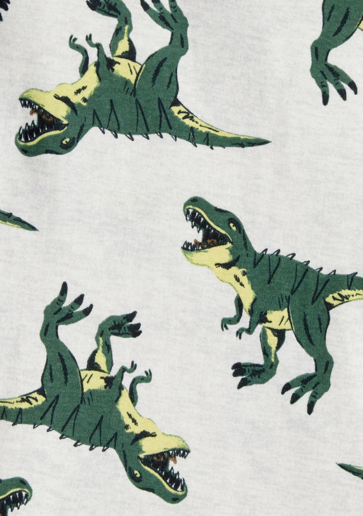 Boys 4-7 Dino Sleep Set
