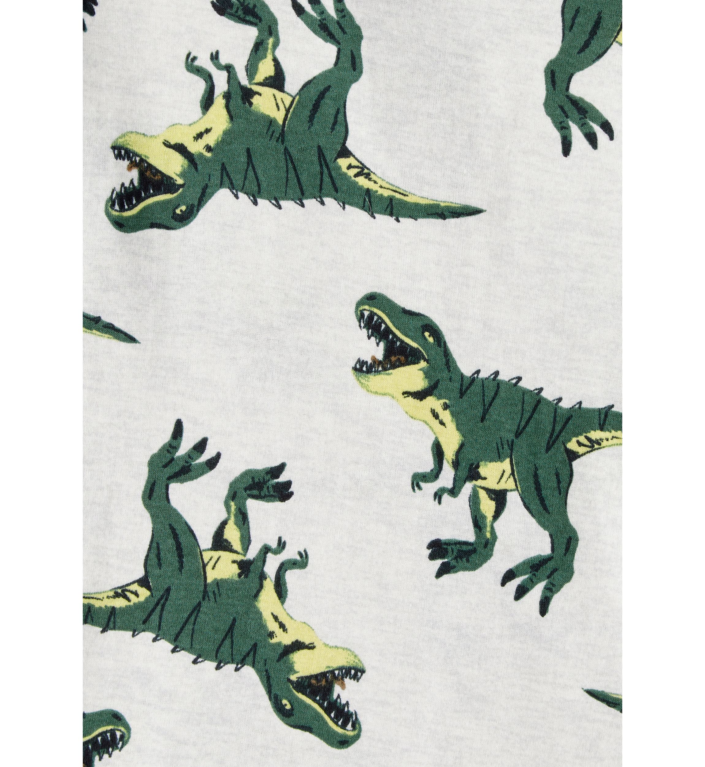 Boys 4-7 Dino Sleep Set