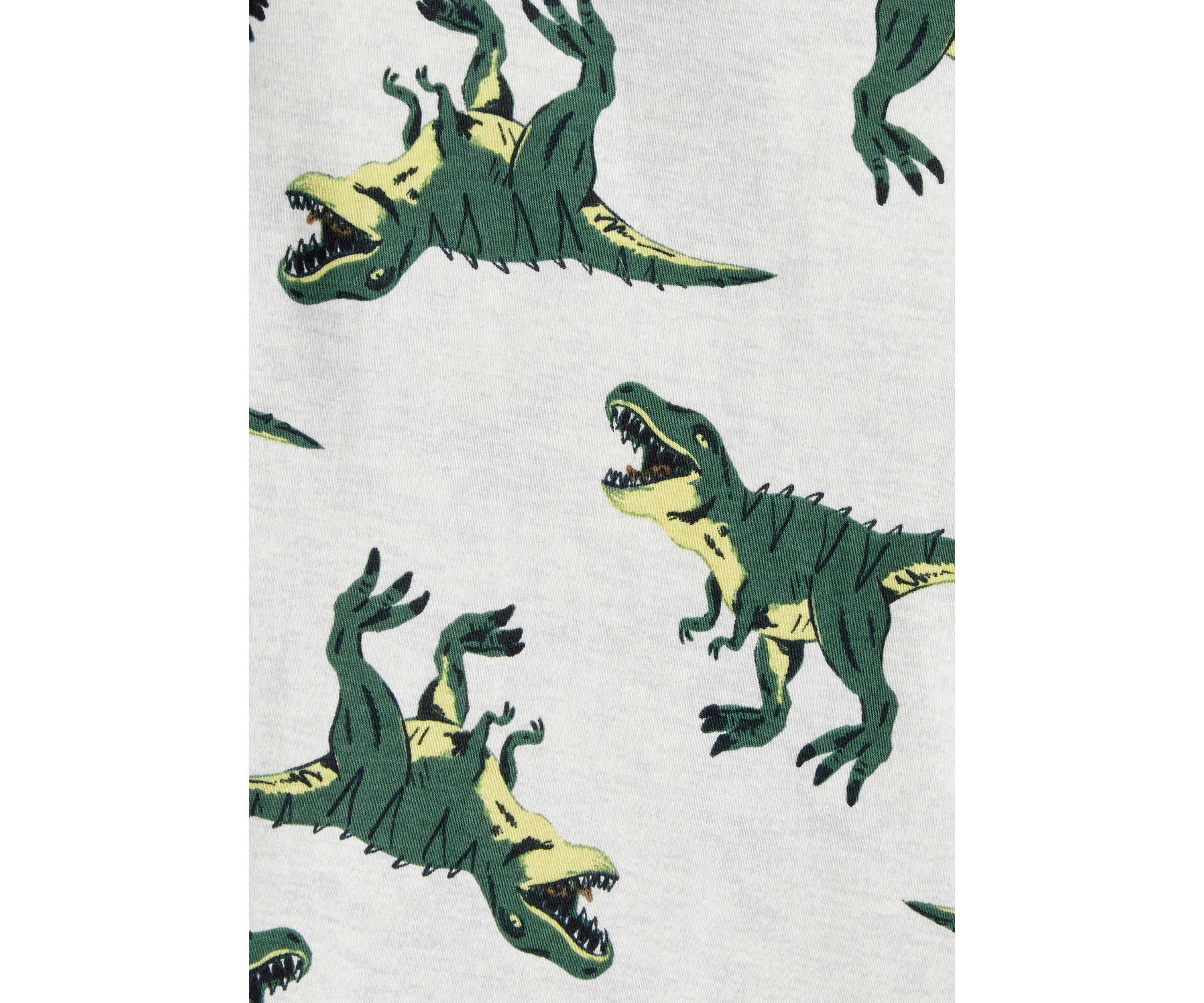 Boys 4-7 Dino Sleep Set