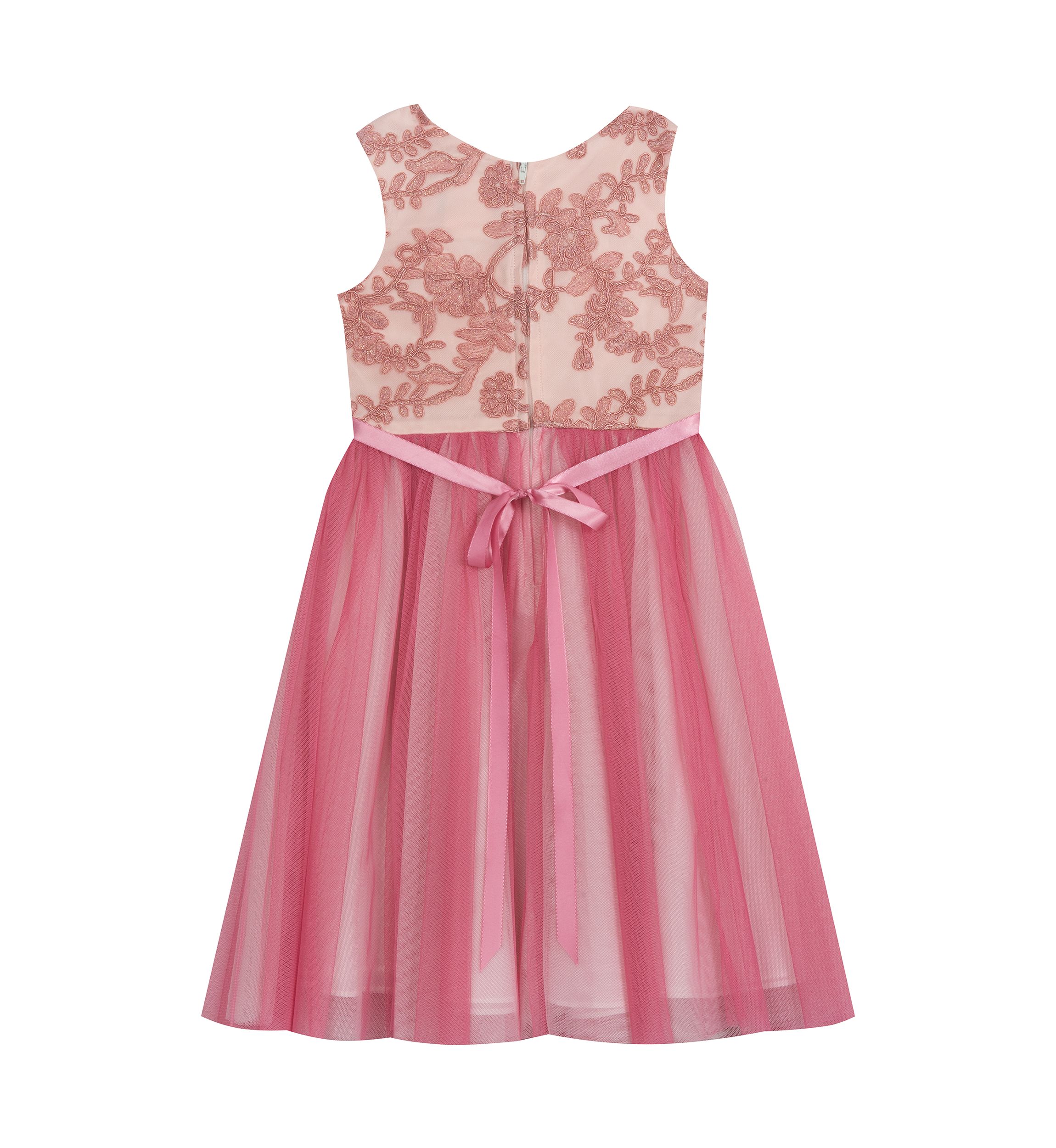 Toddler Girls Embroidered Mesh Dress