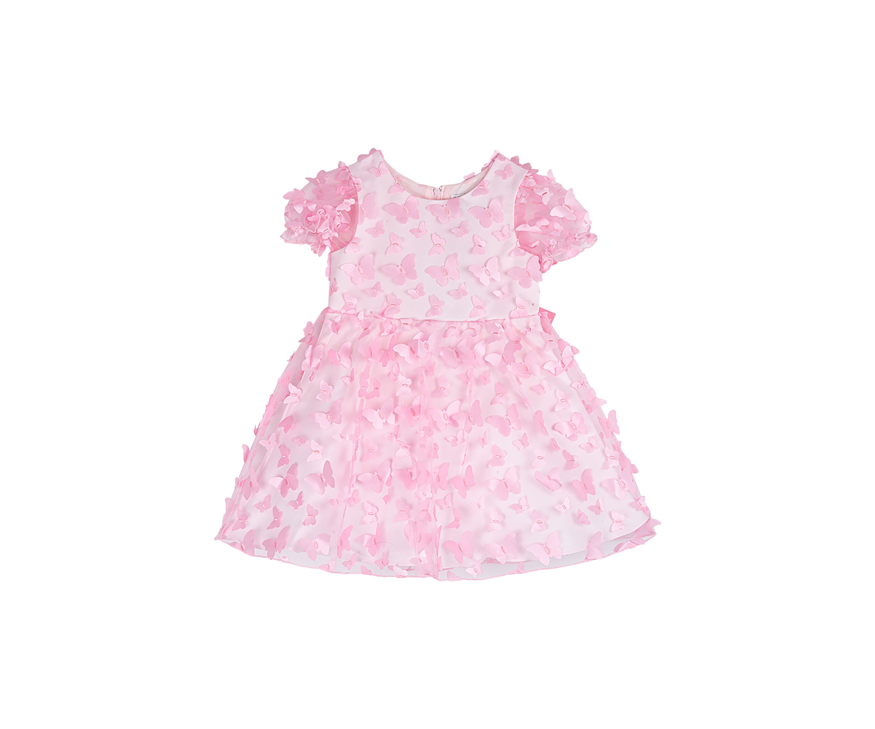 Toddler Girls Butterfly Appliqué Mesh Soutache Dress