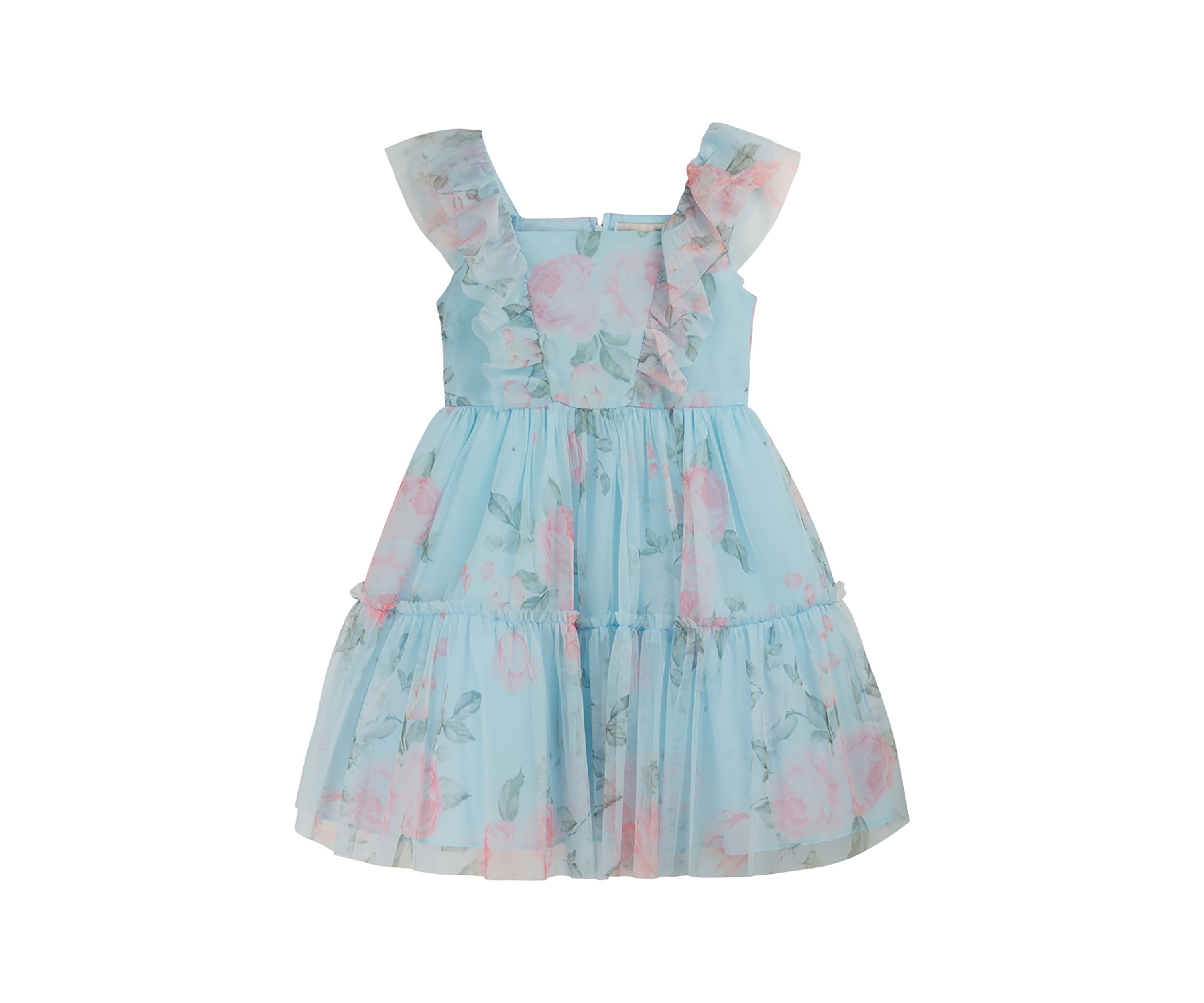Toddler Girls Floral Printed Mesh Dress