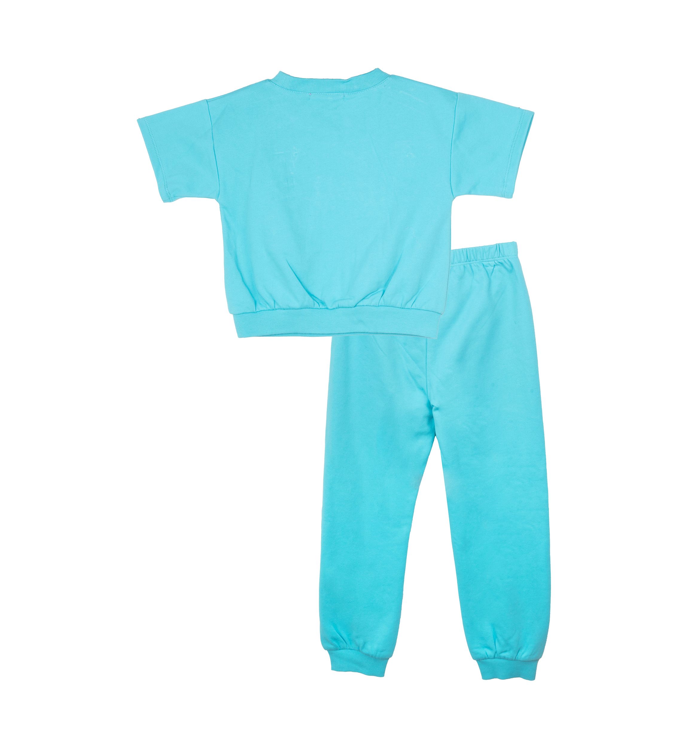 Toddler Girls French Terry Joggers Set