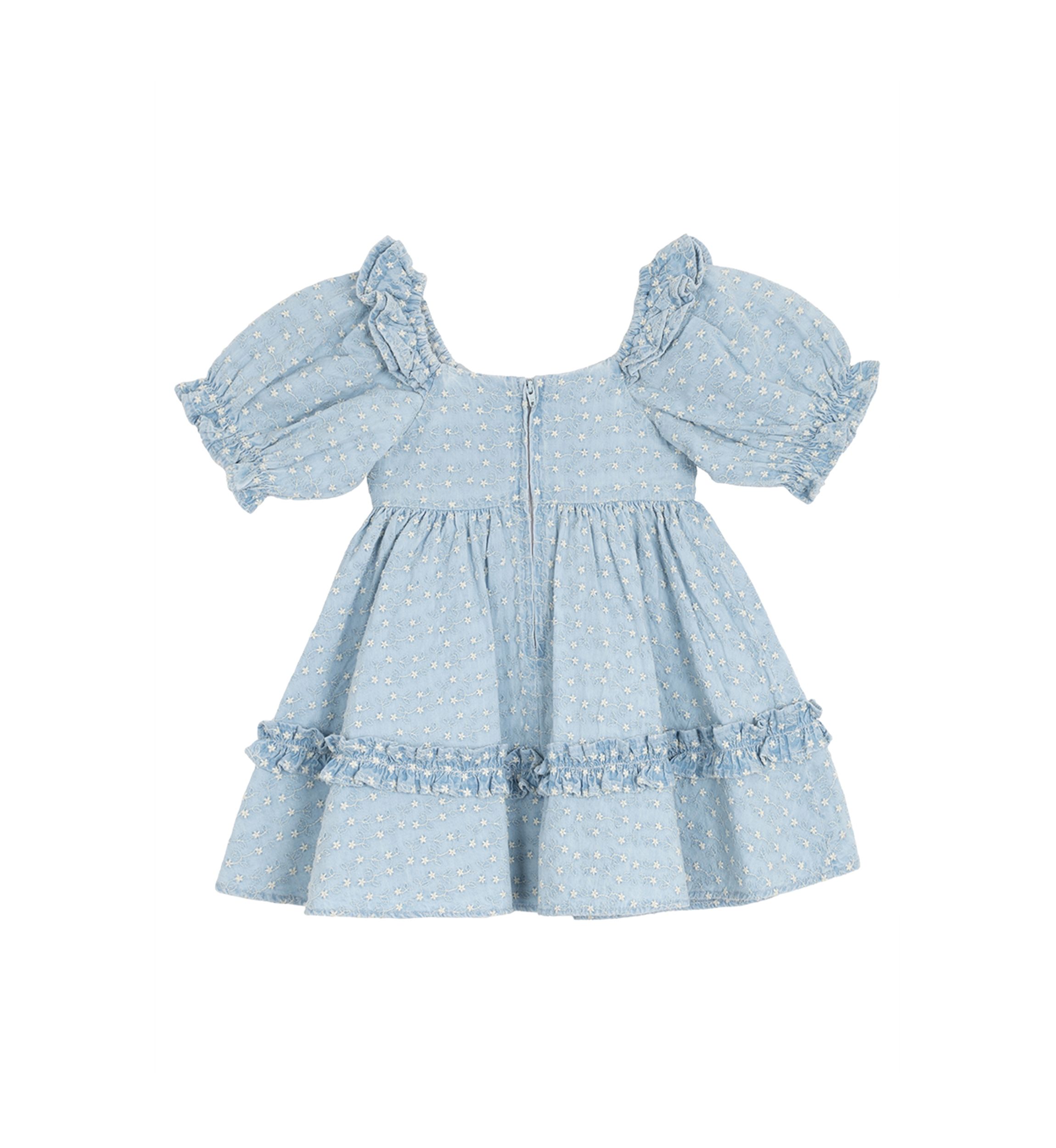 Toddler Girls Printed Chambray Dress with Puff Sleeves