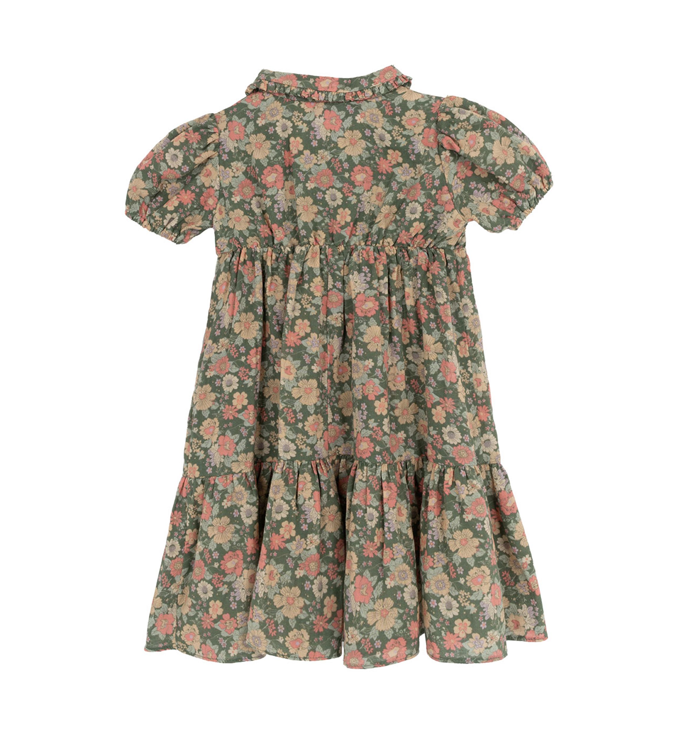 Toddler Girls Floral Printed Dress