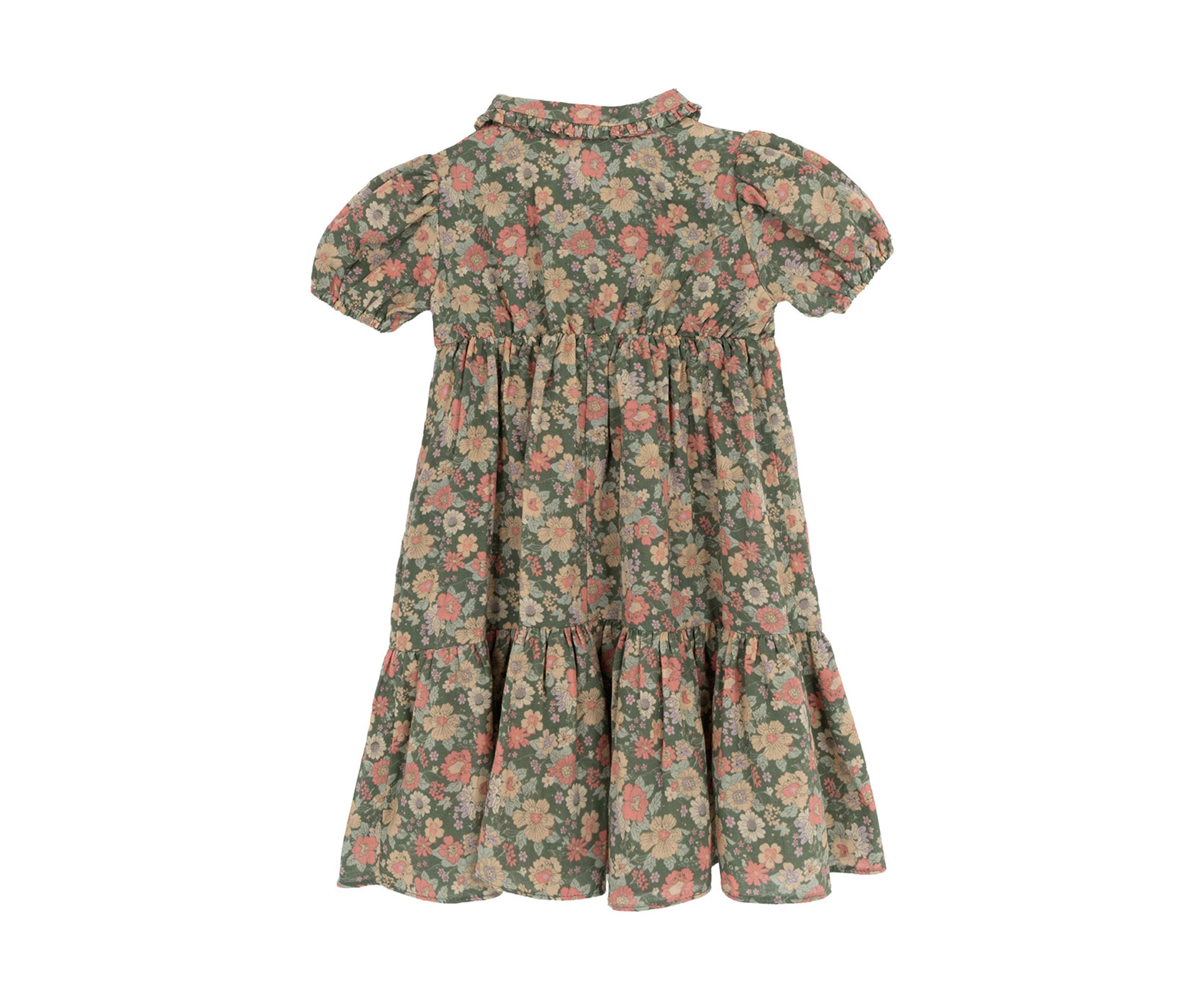Toddler Girls Floral Printed Dress
