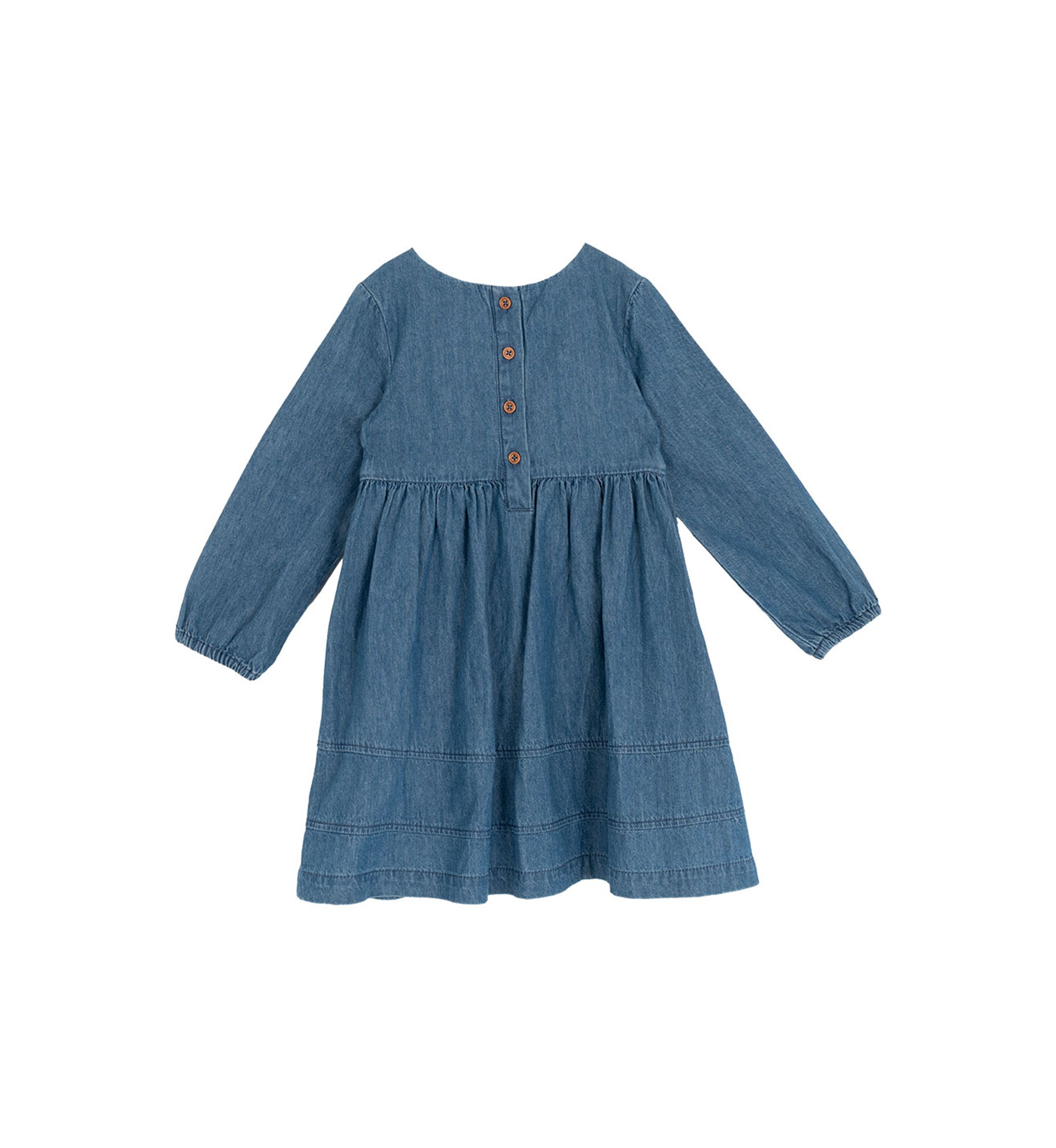 Toddler Girls Embroidered Chambray Dress