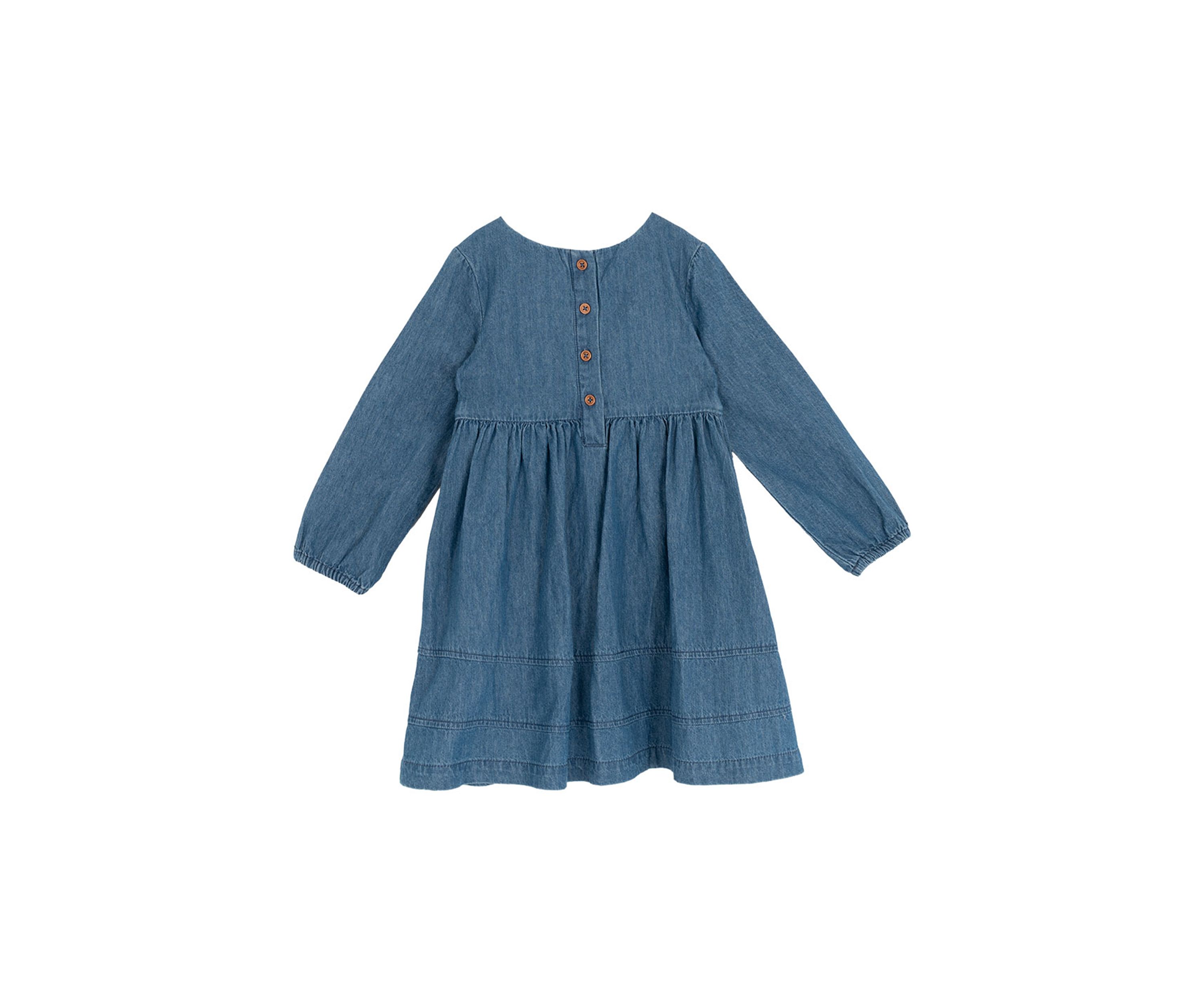Toddler Girls Embroidered Chambray Dress