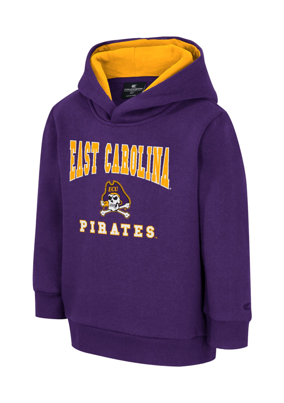 Toddler Boys NCAA East Carolina Pirates Graphic Hoodie 