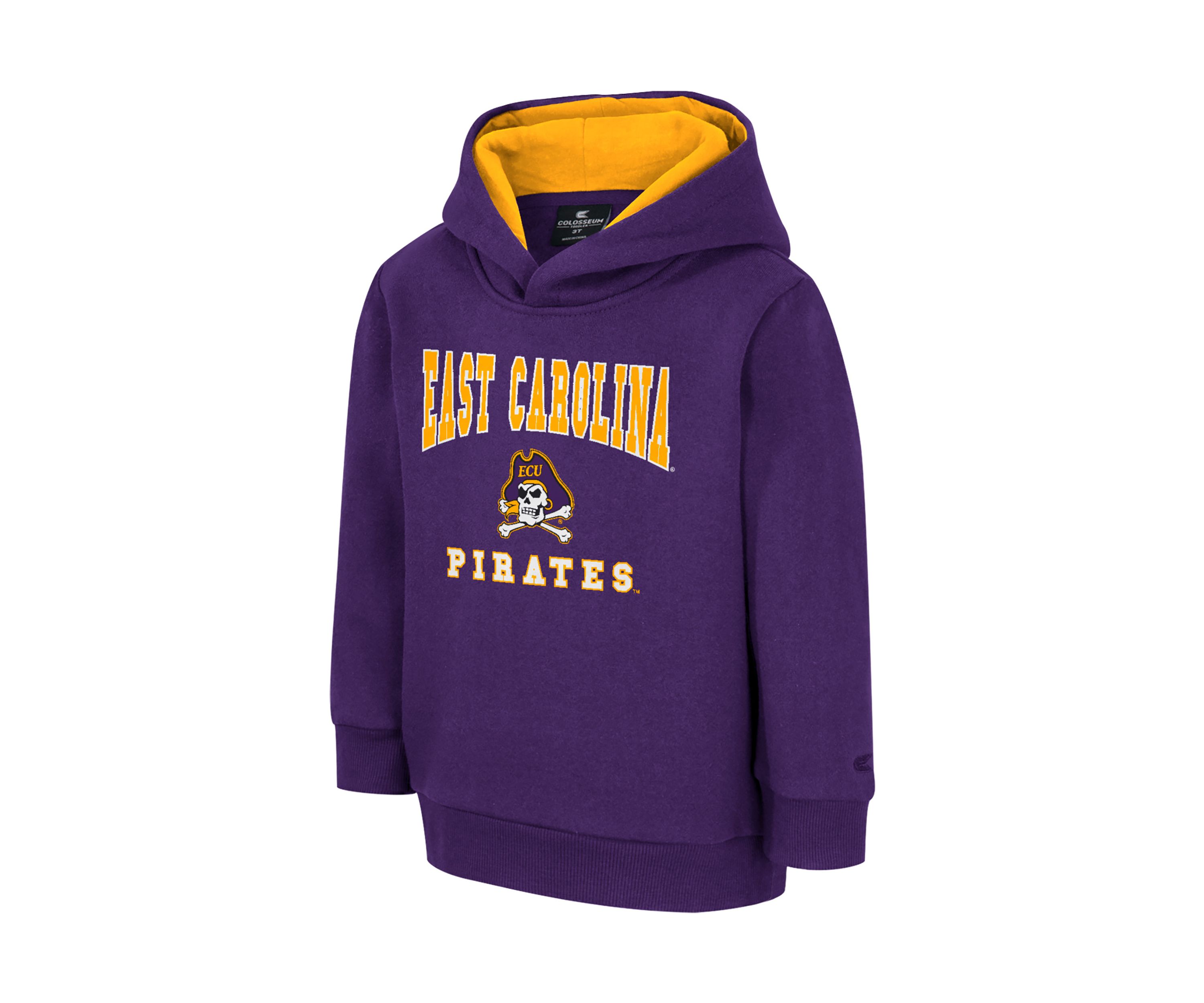 Toddler Boys NCAA East Carolina Pirates Graphic Hoodie 
